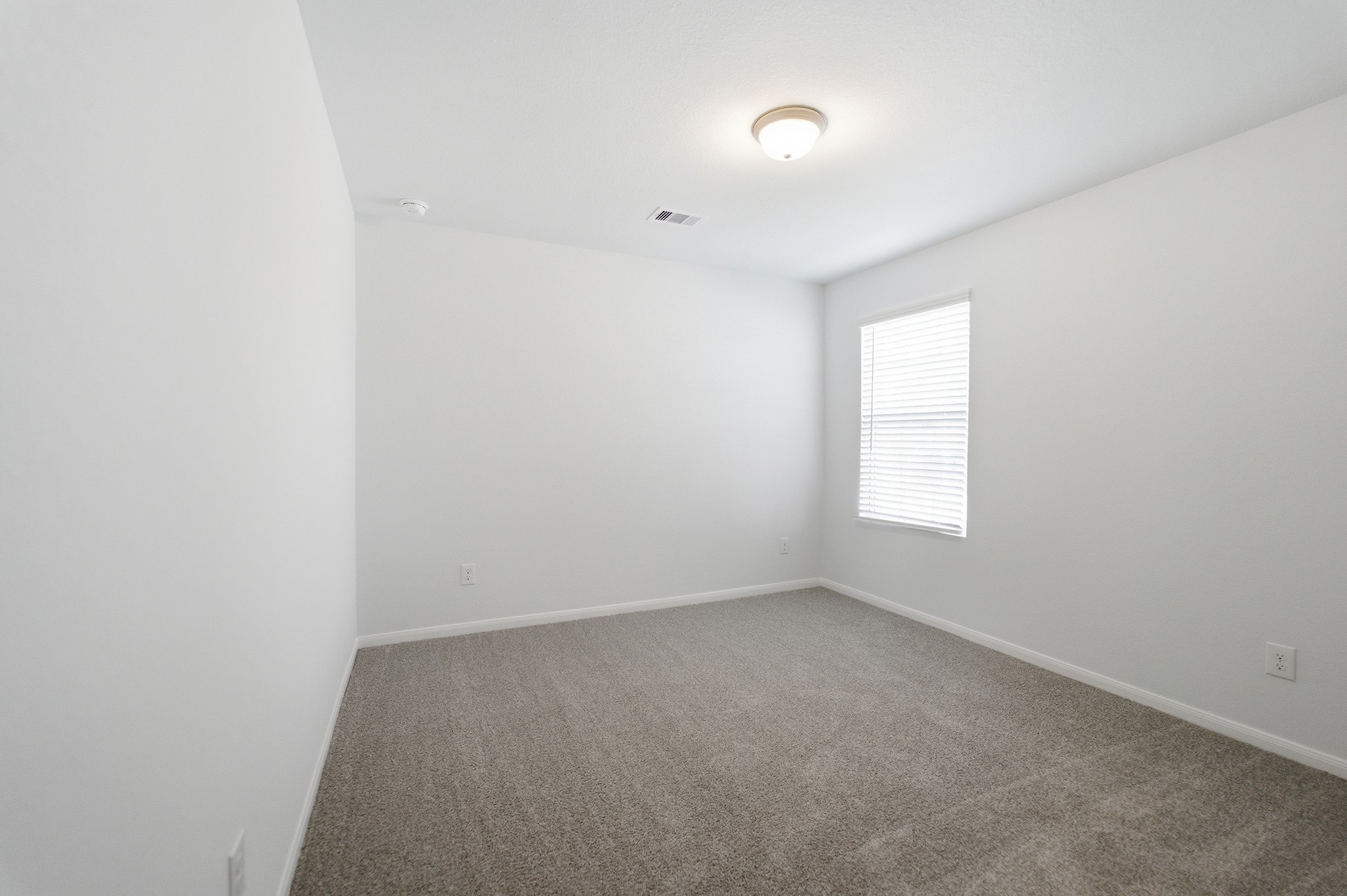 10767 Sora Drive Property Photo 22