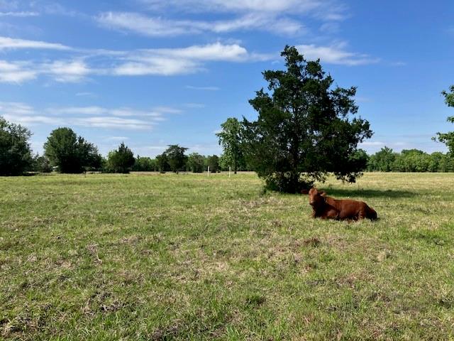 0 Ne Belcher , Cr 397, Manvel Tx 77578 Property Photo 5