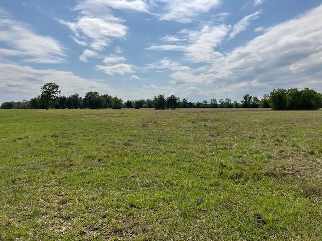 0 Ne Belcher , Cr 397, Manvel Tx 77578 Property Photo 10