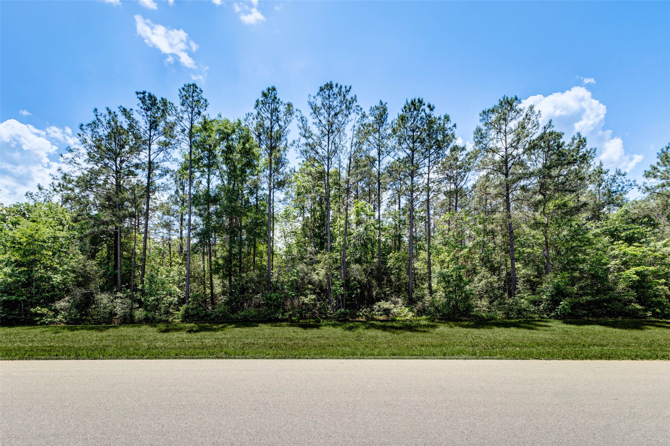 10774 Ruger Road Property Photo 1