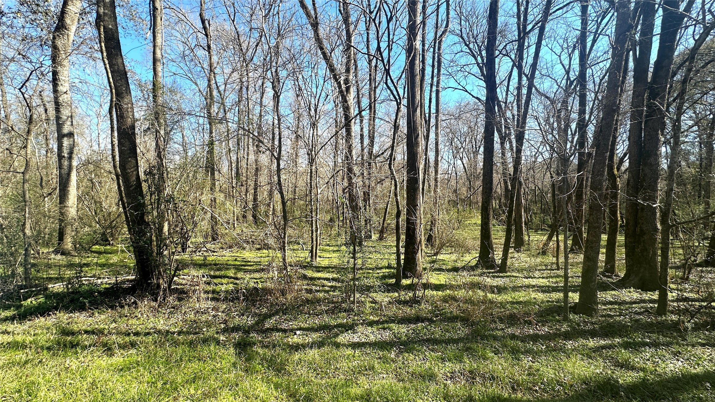 00 Royal Springs Rd Property Photo 1