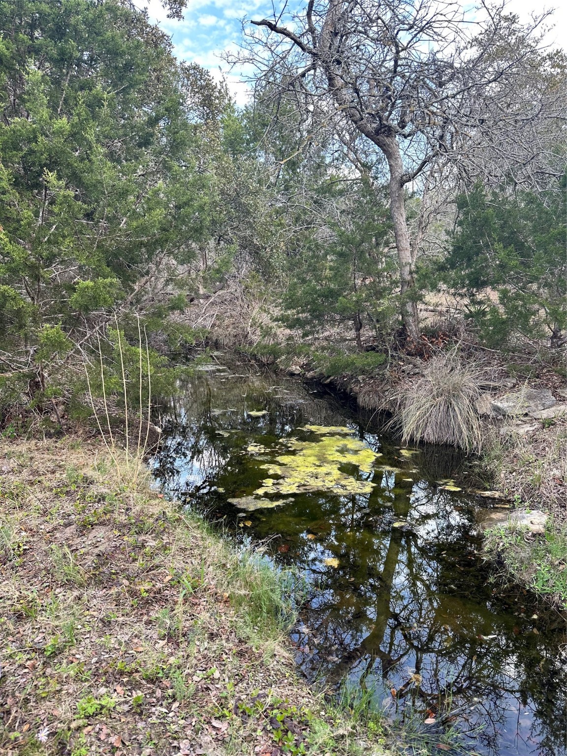 Tbd Ranch Road 12 Property Photo 1
