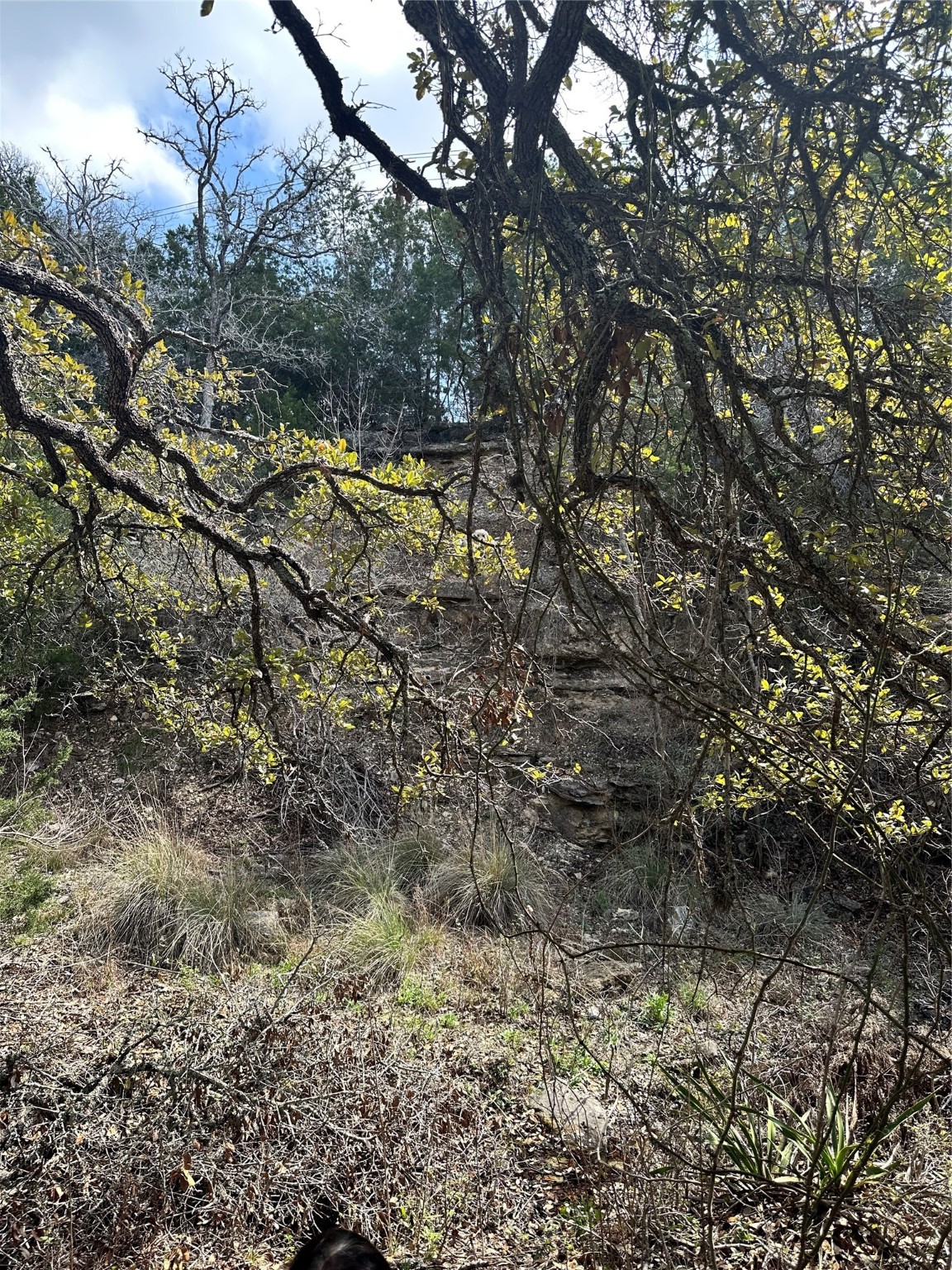 Tbd Ranch Road 12 Property Photo 3