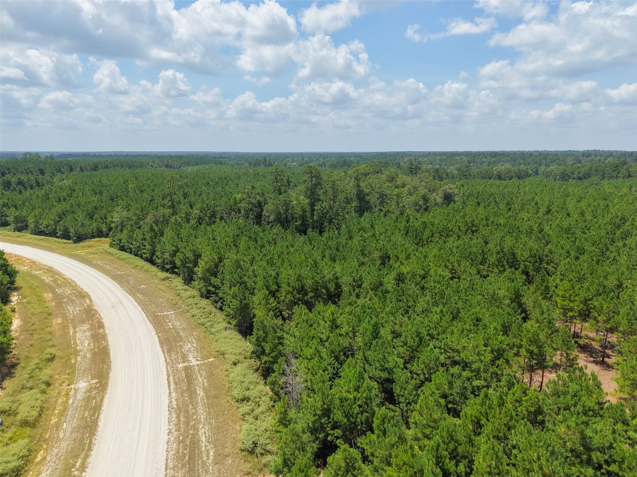 12046 Compassion Lane Property Photo 4