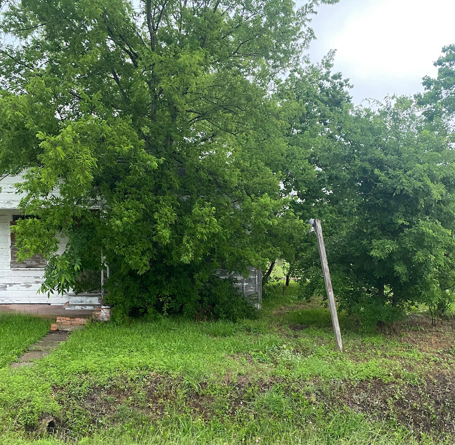 7214 Dallas Street Property Photo 3