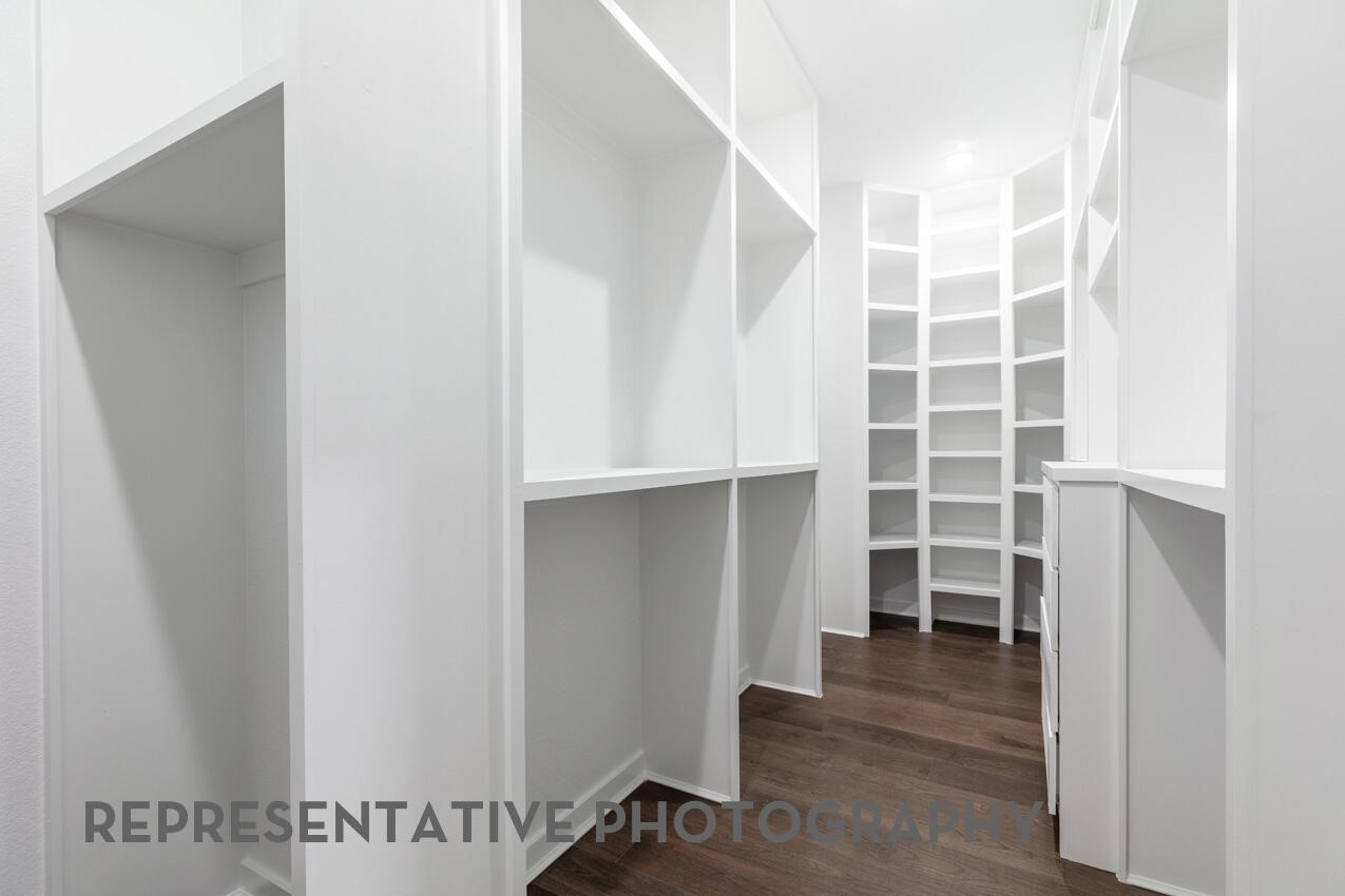 31026 Peony Place Drive Property Photo 19