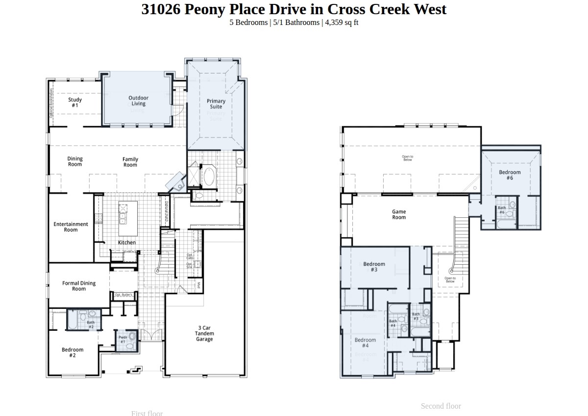 31026 Peony Place Drive Property Photo 49