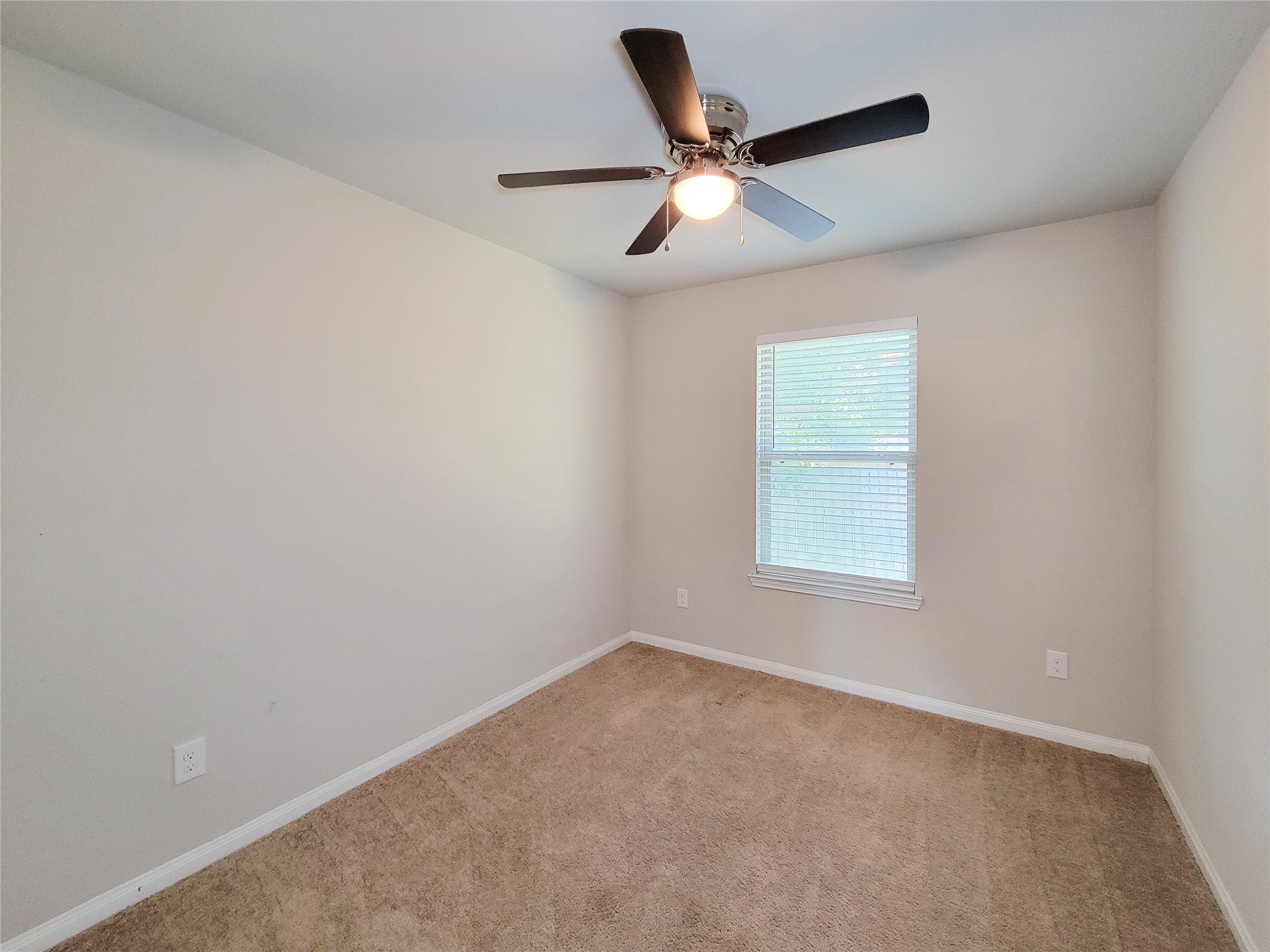 20 Carol Court Property Photo 19
