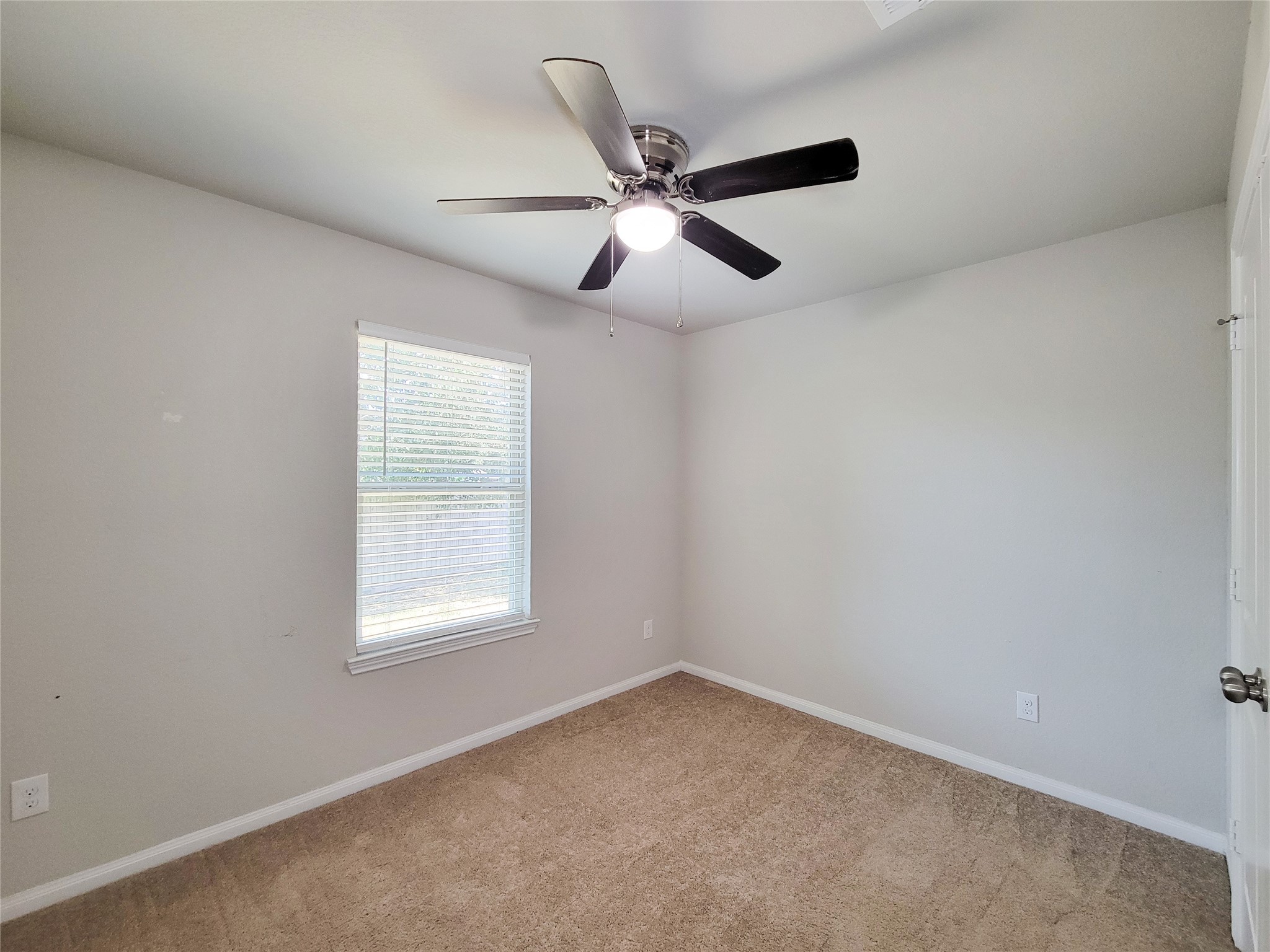 20 Carol Court Property Photo 21