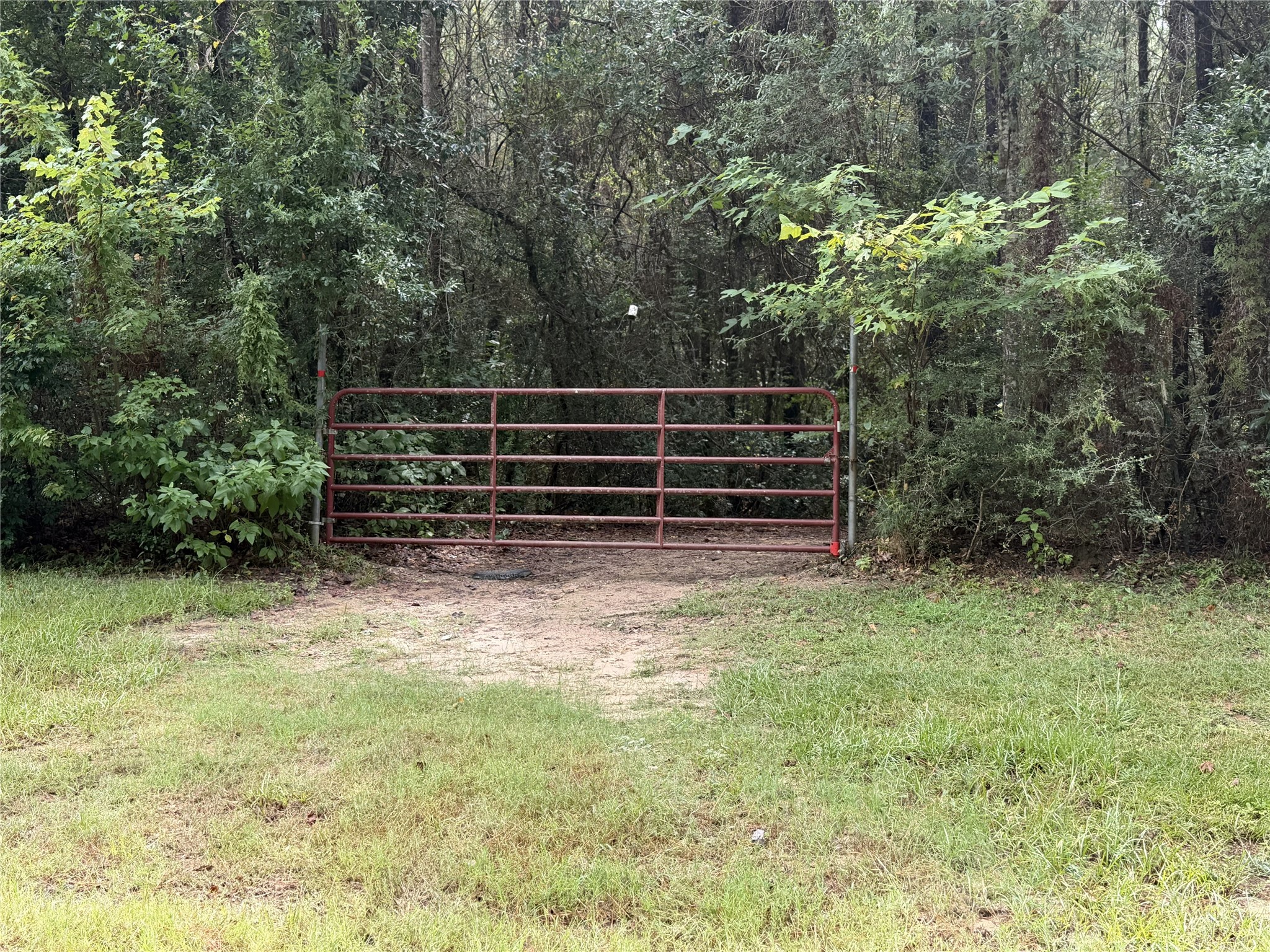 1810 County Road 4375 Property Photo 1