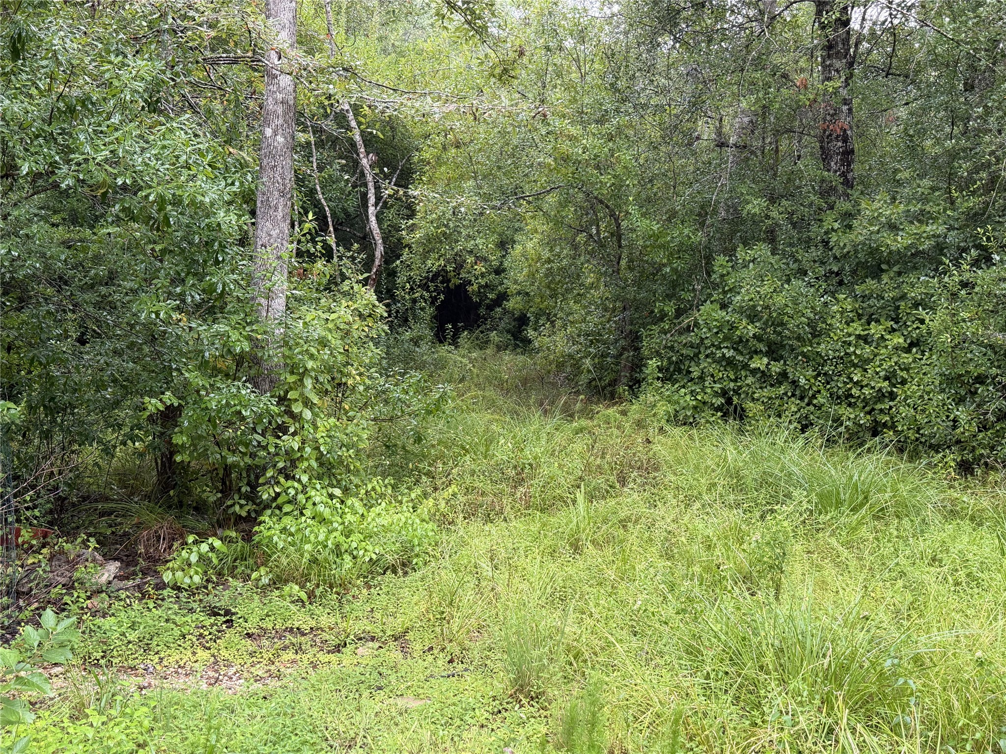 1810 County Road 4375 Property Photo 22