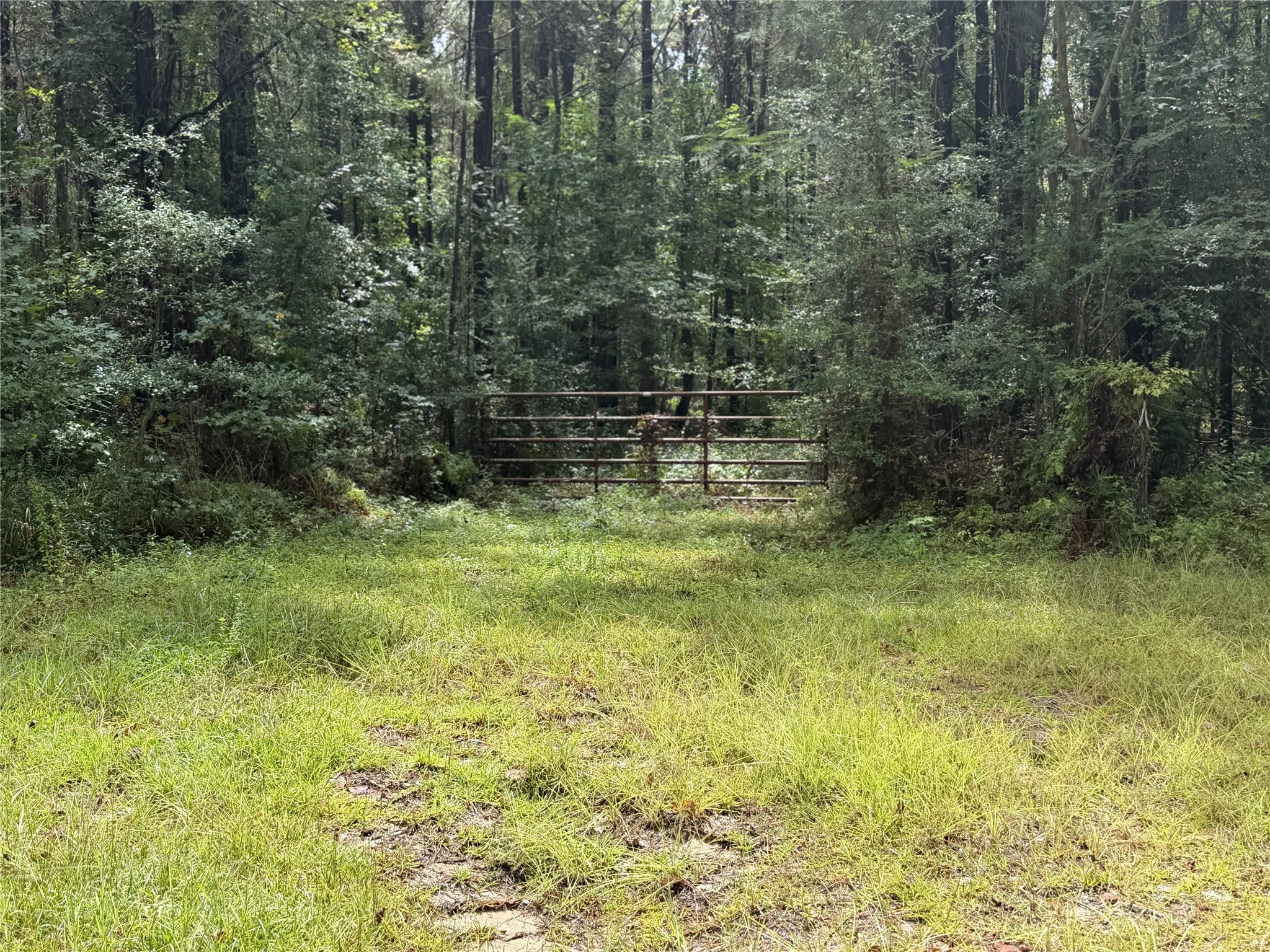 1810 County Road 4375 Property Photo 23