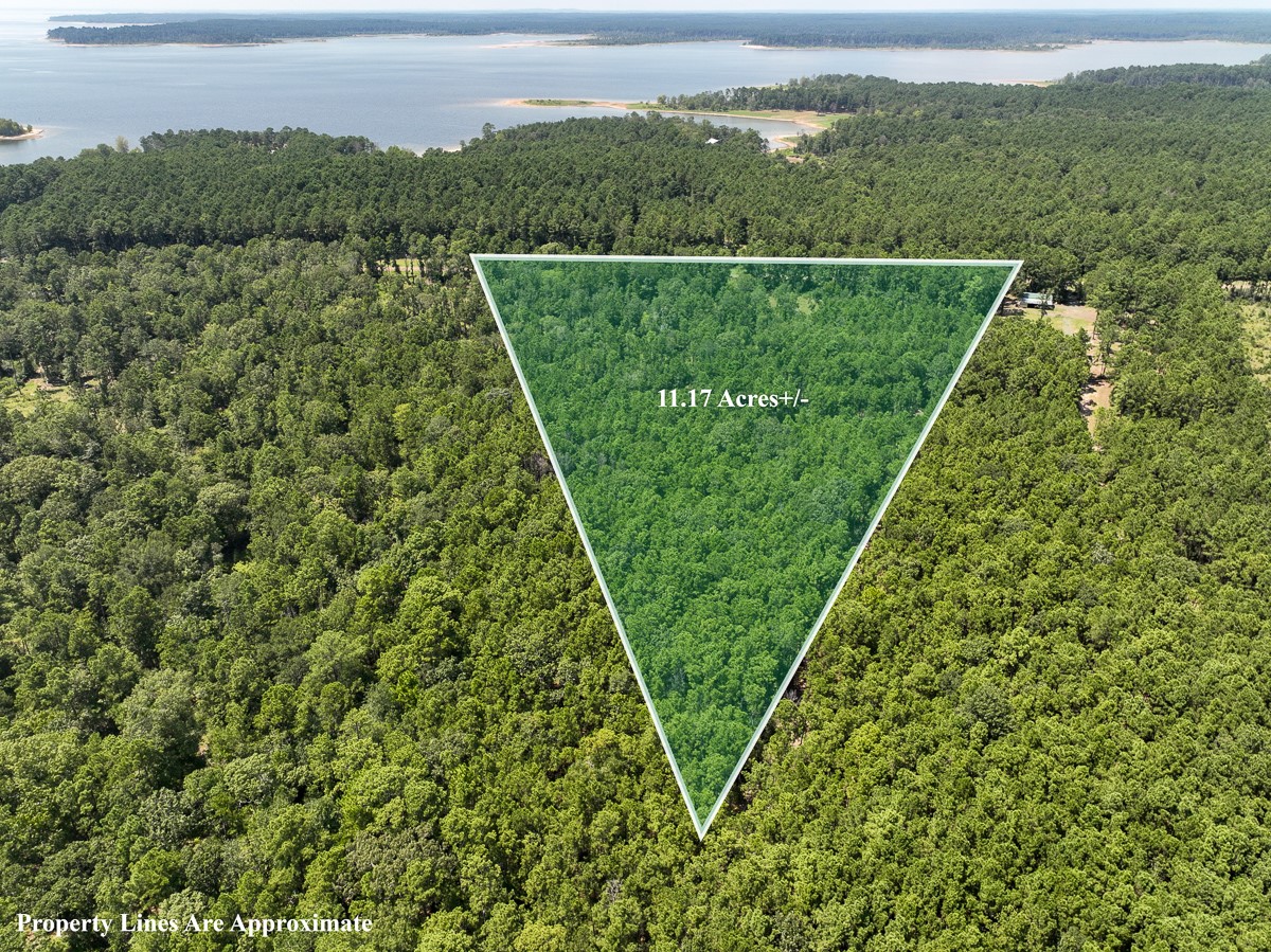 Tbd Fm 3173 Property Photo 1