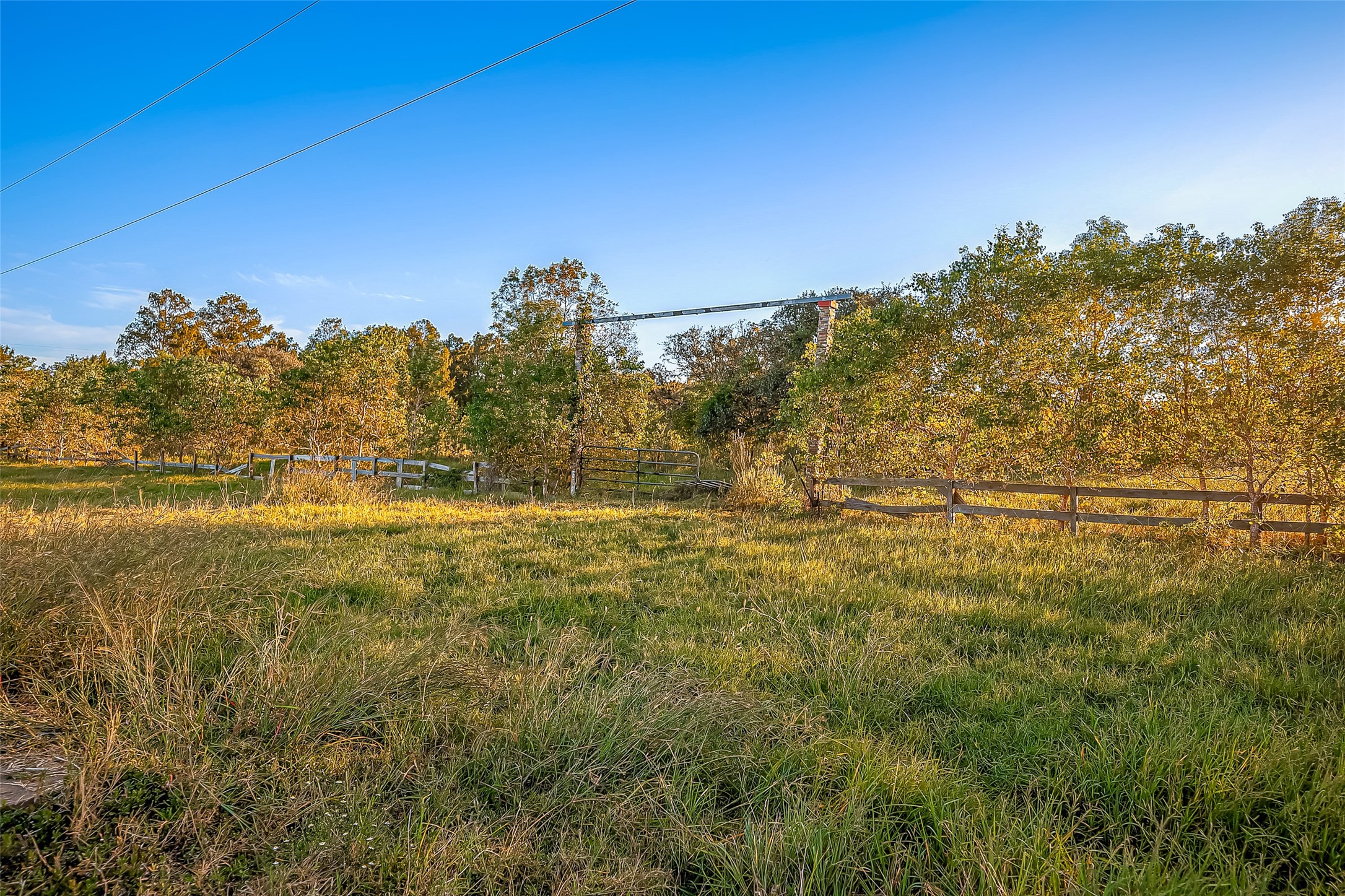 2830 County Road 290 Property Photo
