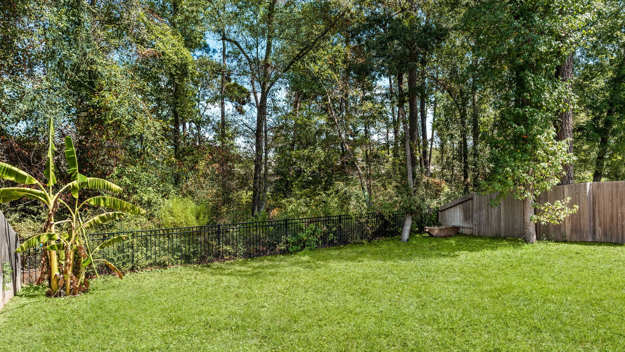 135 Courageous Side Way Property Photo 28