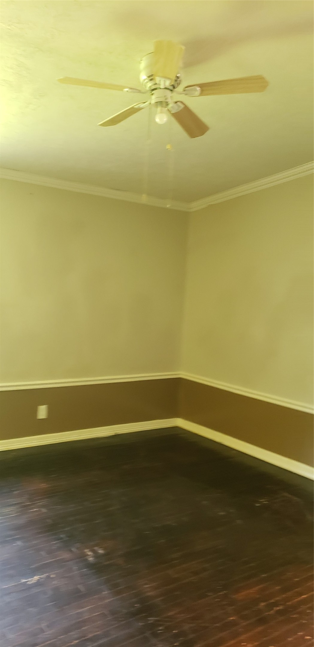 4346 Dalmatian Drive Property Photo 4