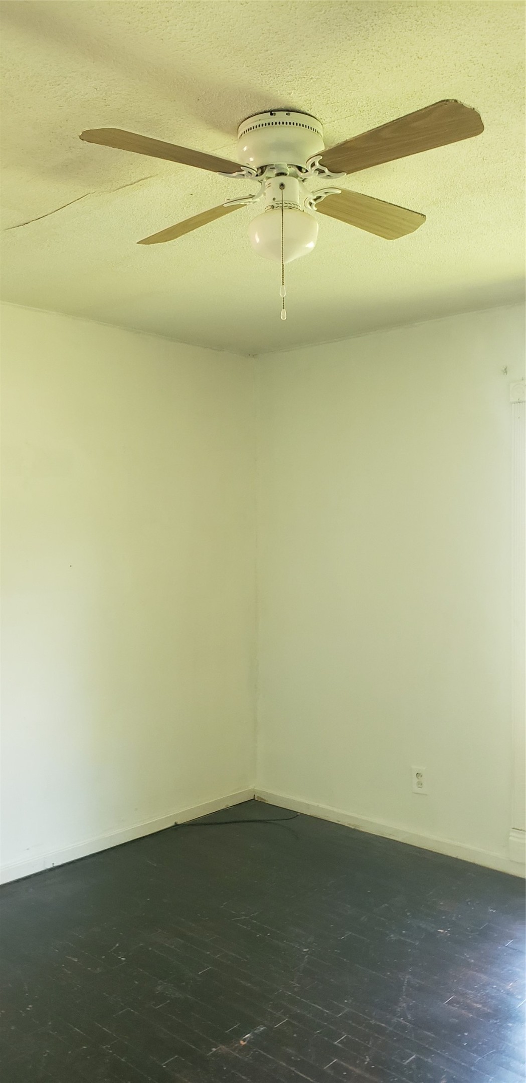 4346 Dalmatian Drive Property Photo 5