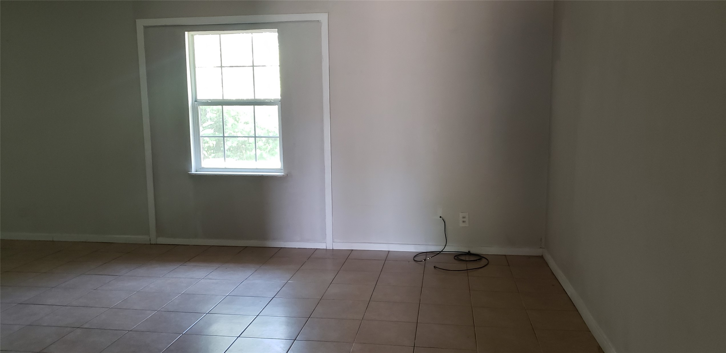 4346 Dalmatian Drive Property Photo 12