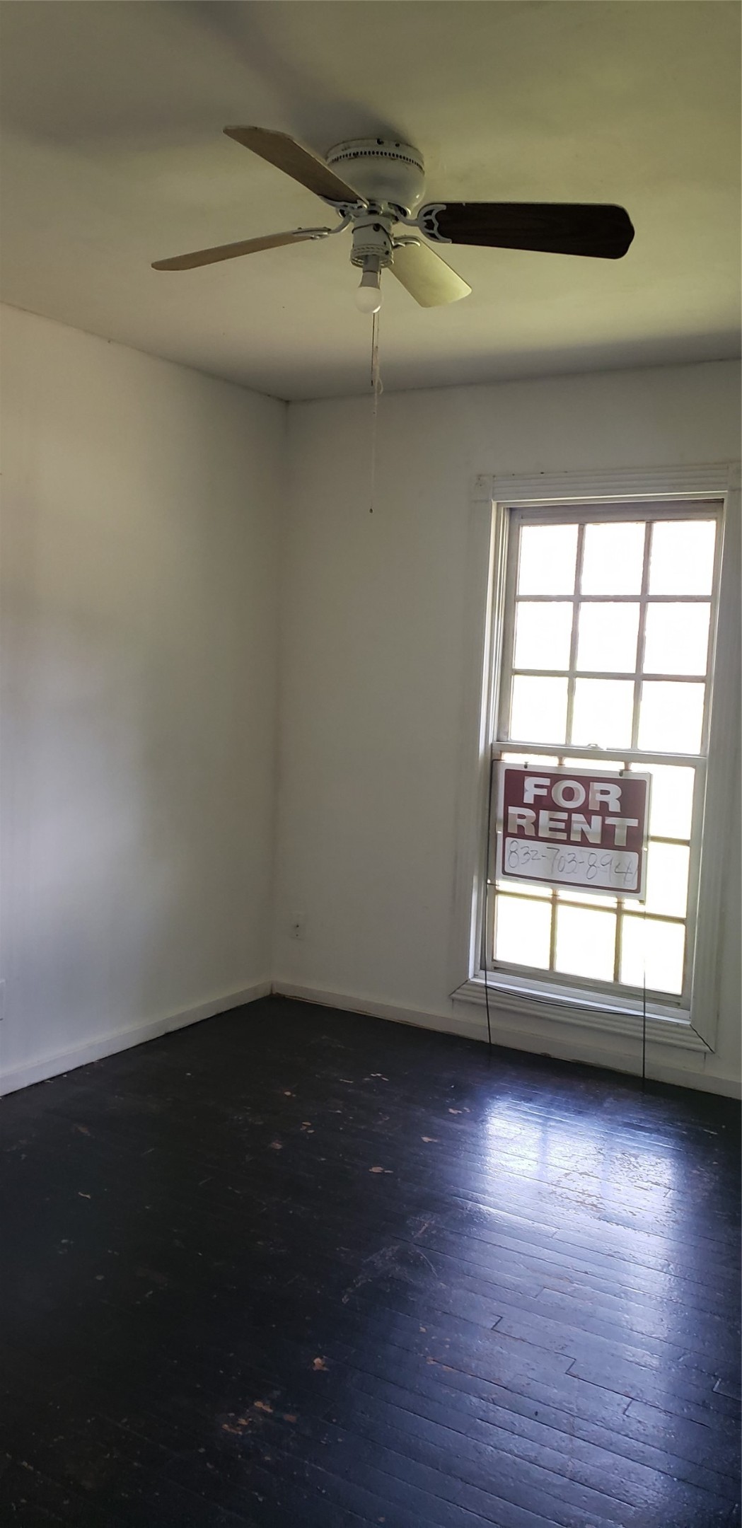 4346 Dalmatian Drive Property Photo 14