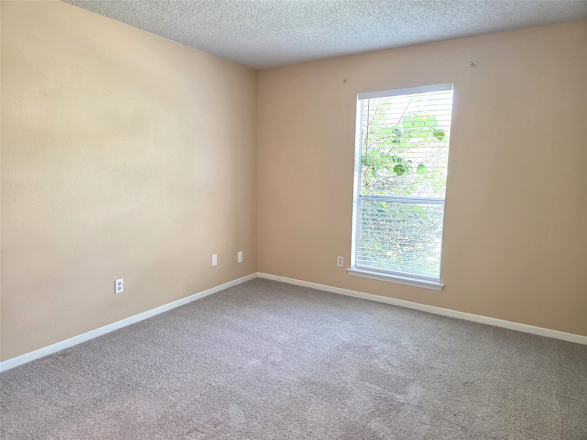 13427 Juniper Point Drive Property Photo 22
