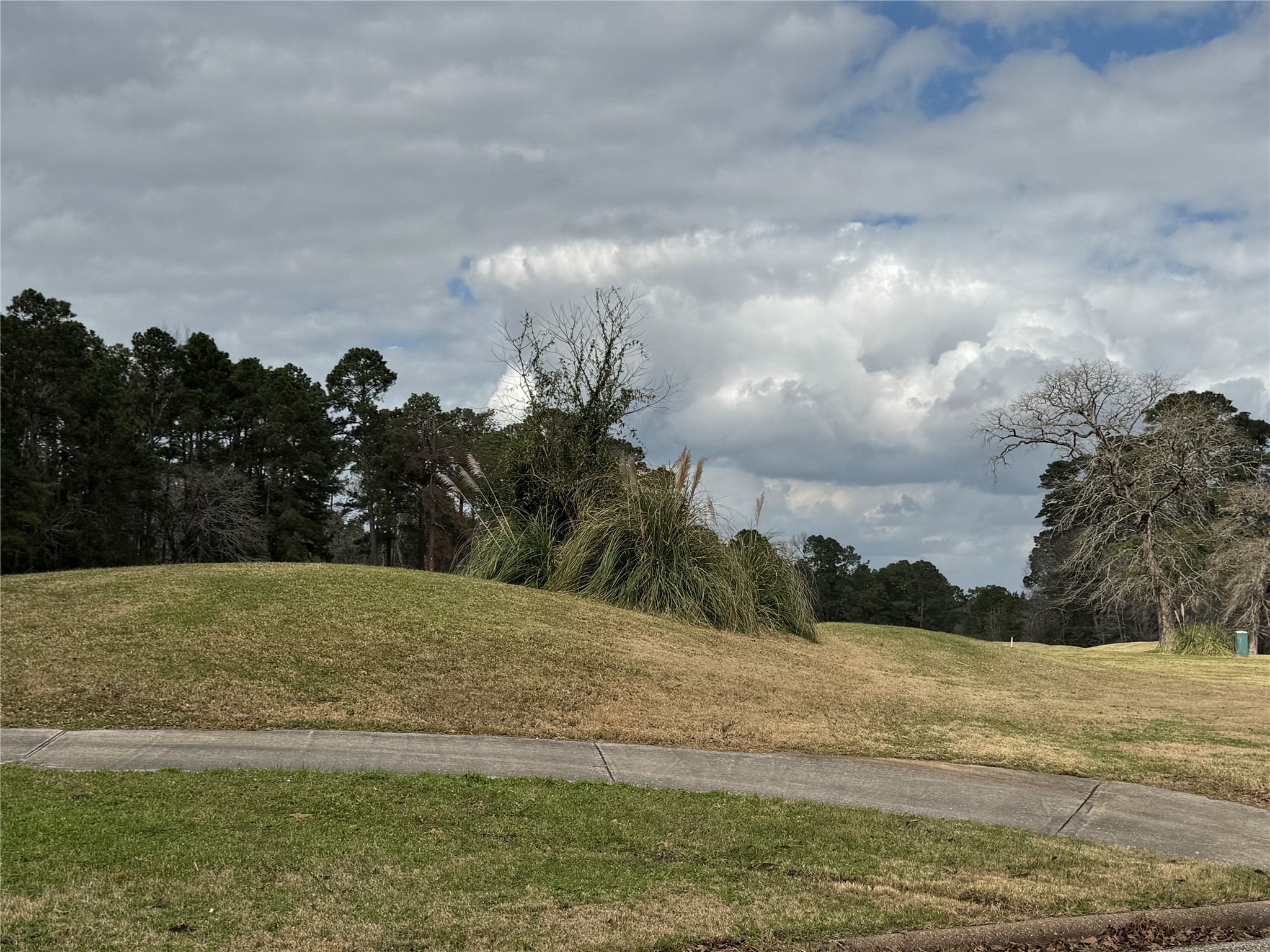 Tbd Park Forest Lane Property Photo 7