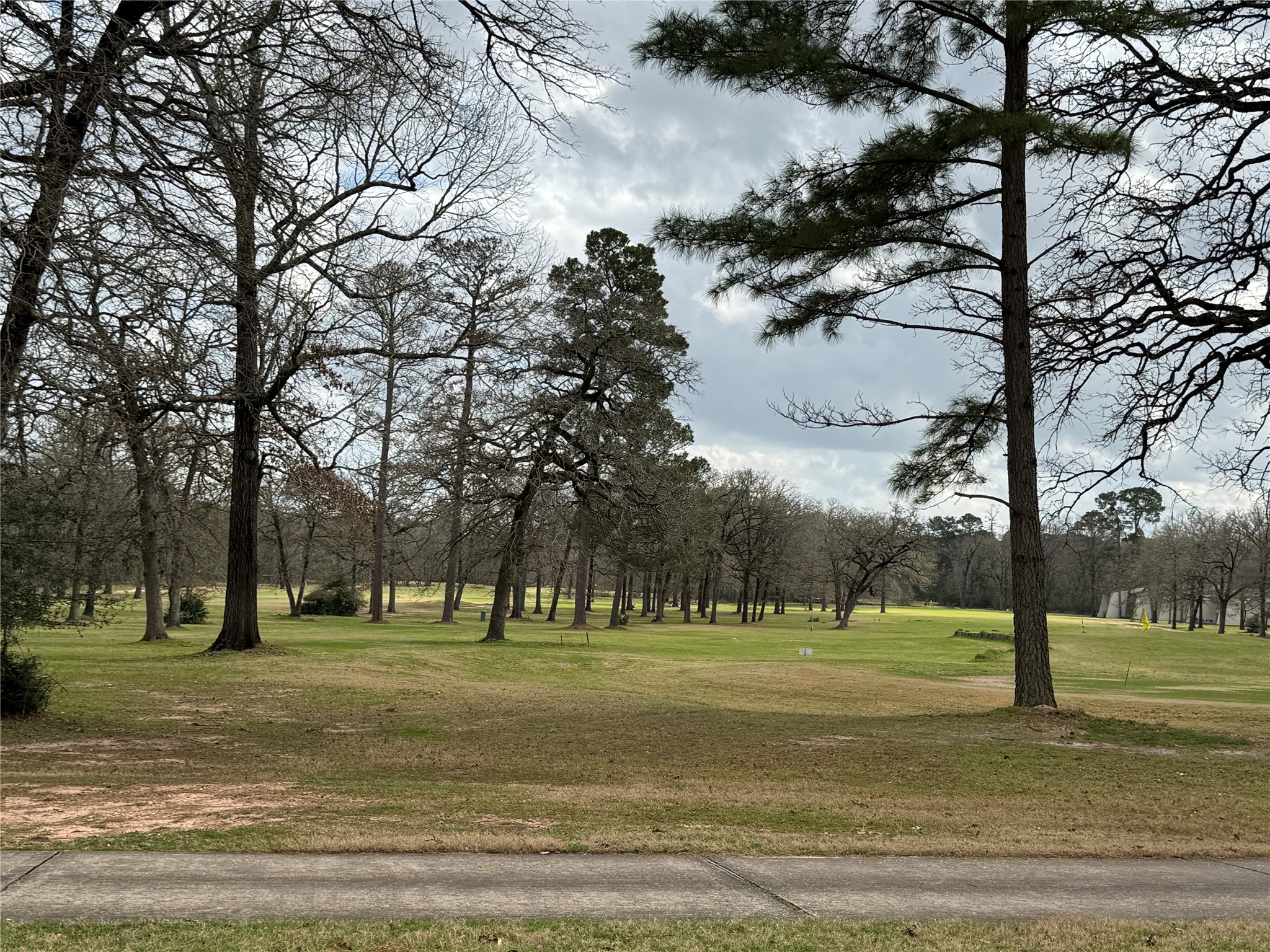 Tbd Park Forest Lane Property Photo 8