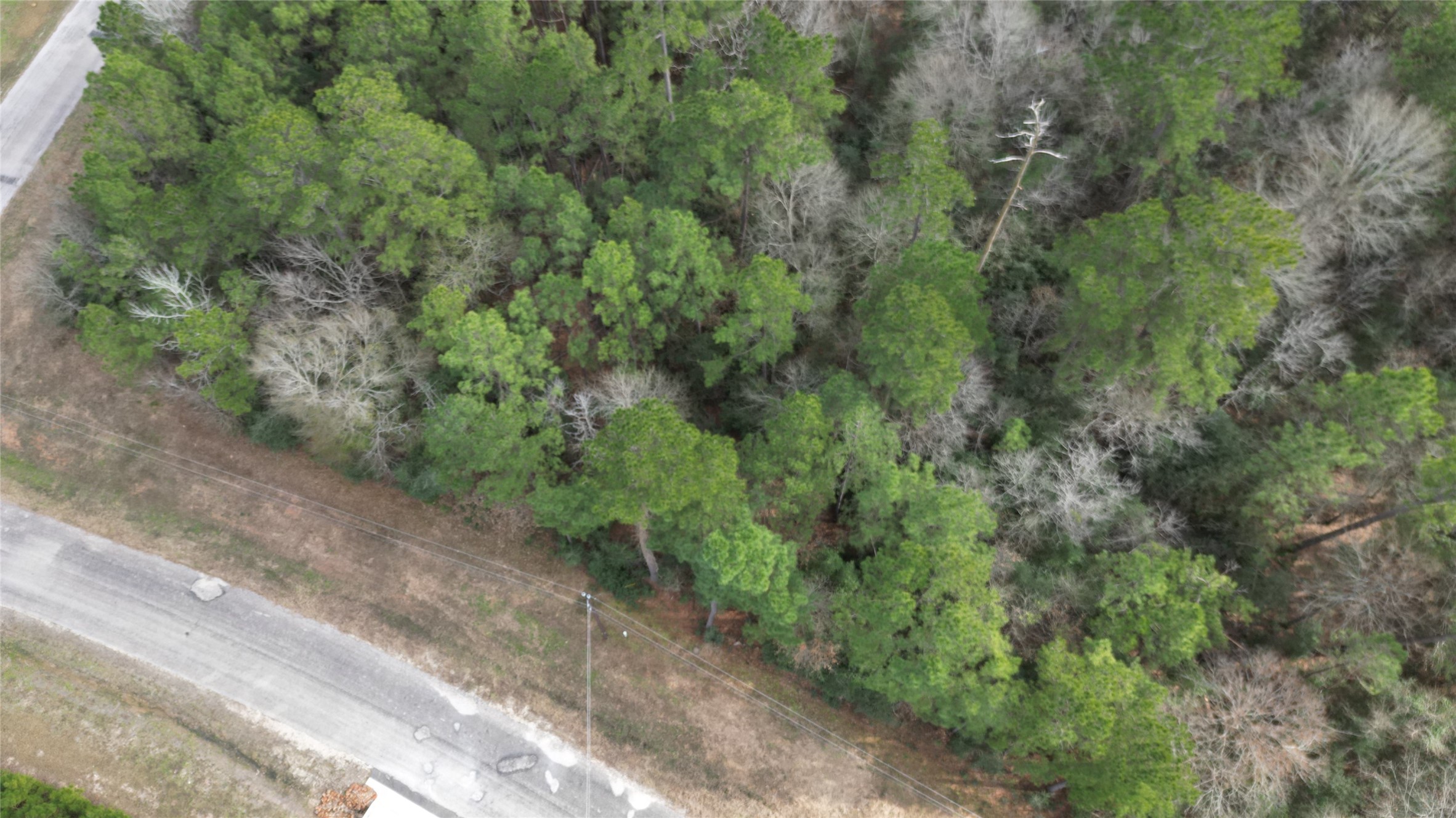 Lot 10 Winchester Road Property Photo 4