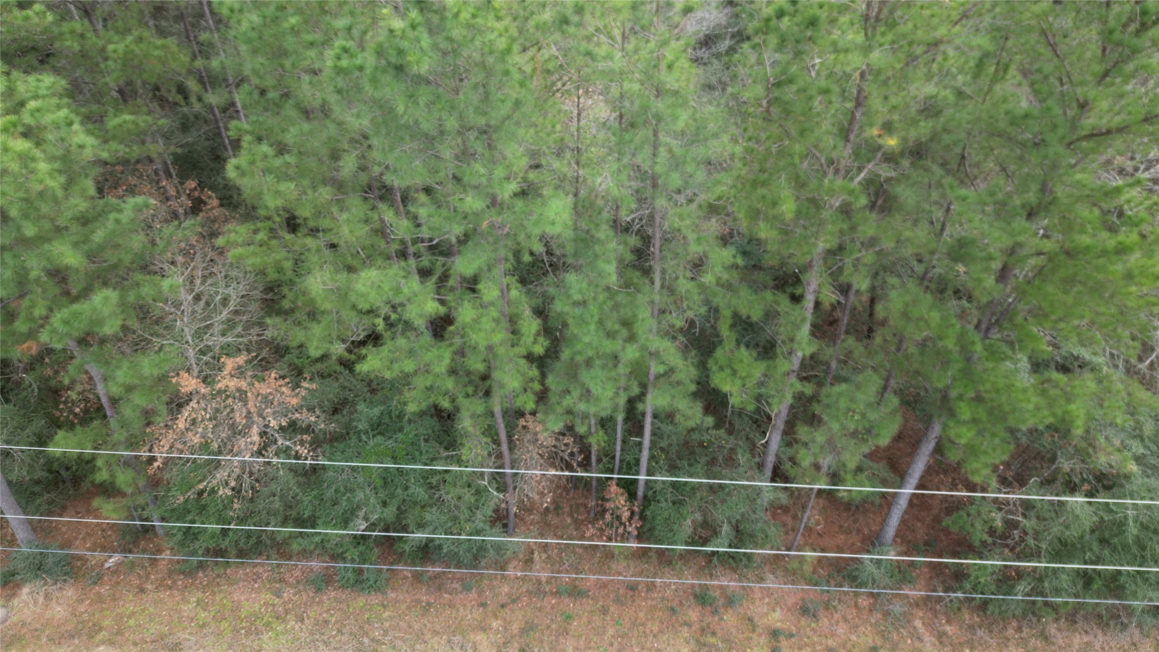 Lot 10 Winchester Road Property Photo 15