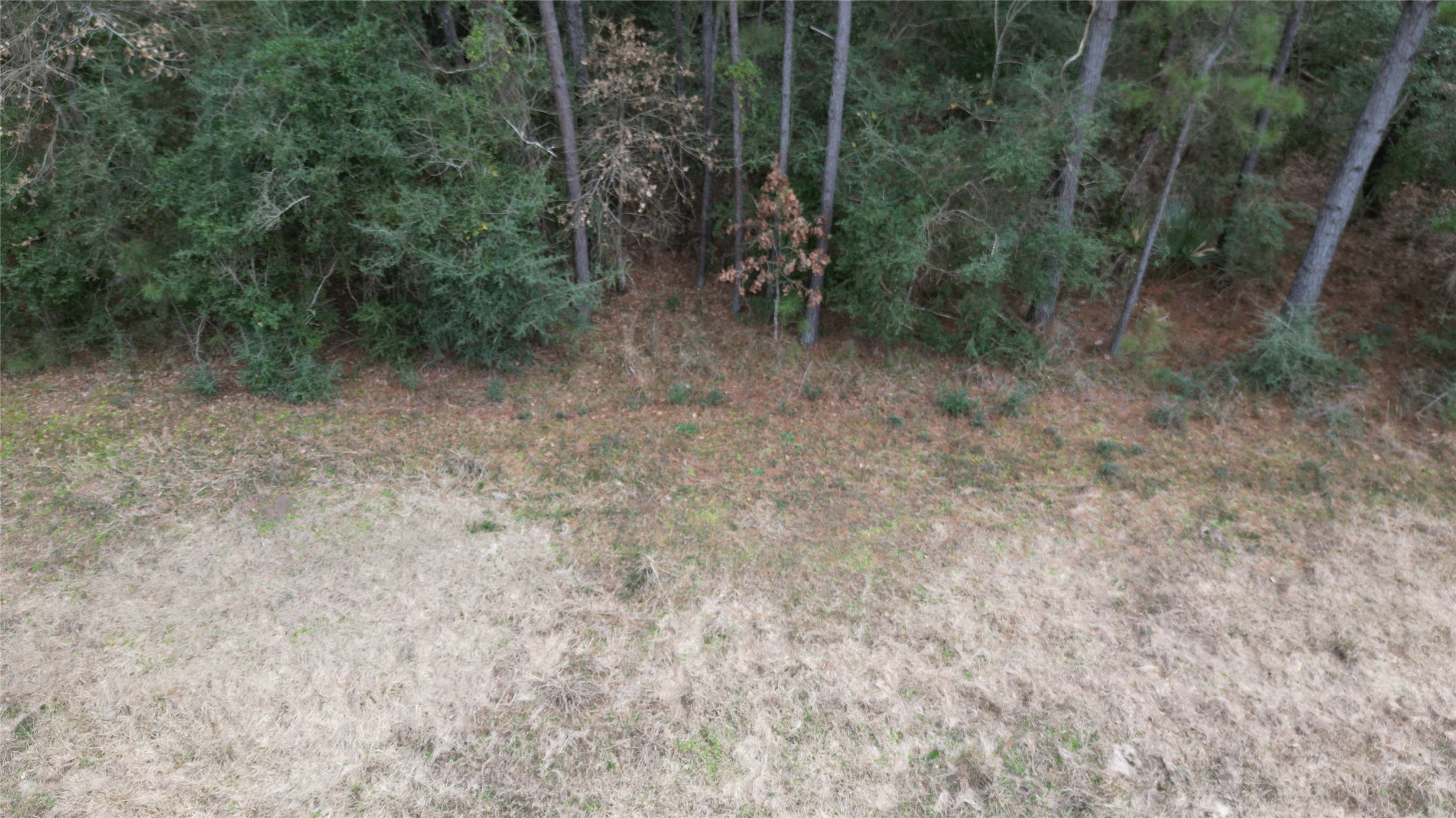 Lot 10 Winchester Road Property Photo 16