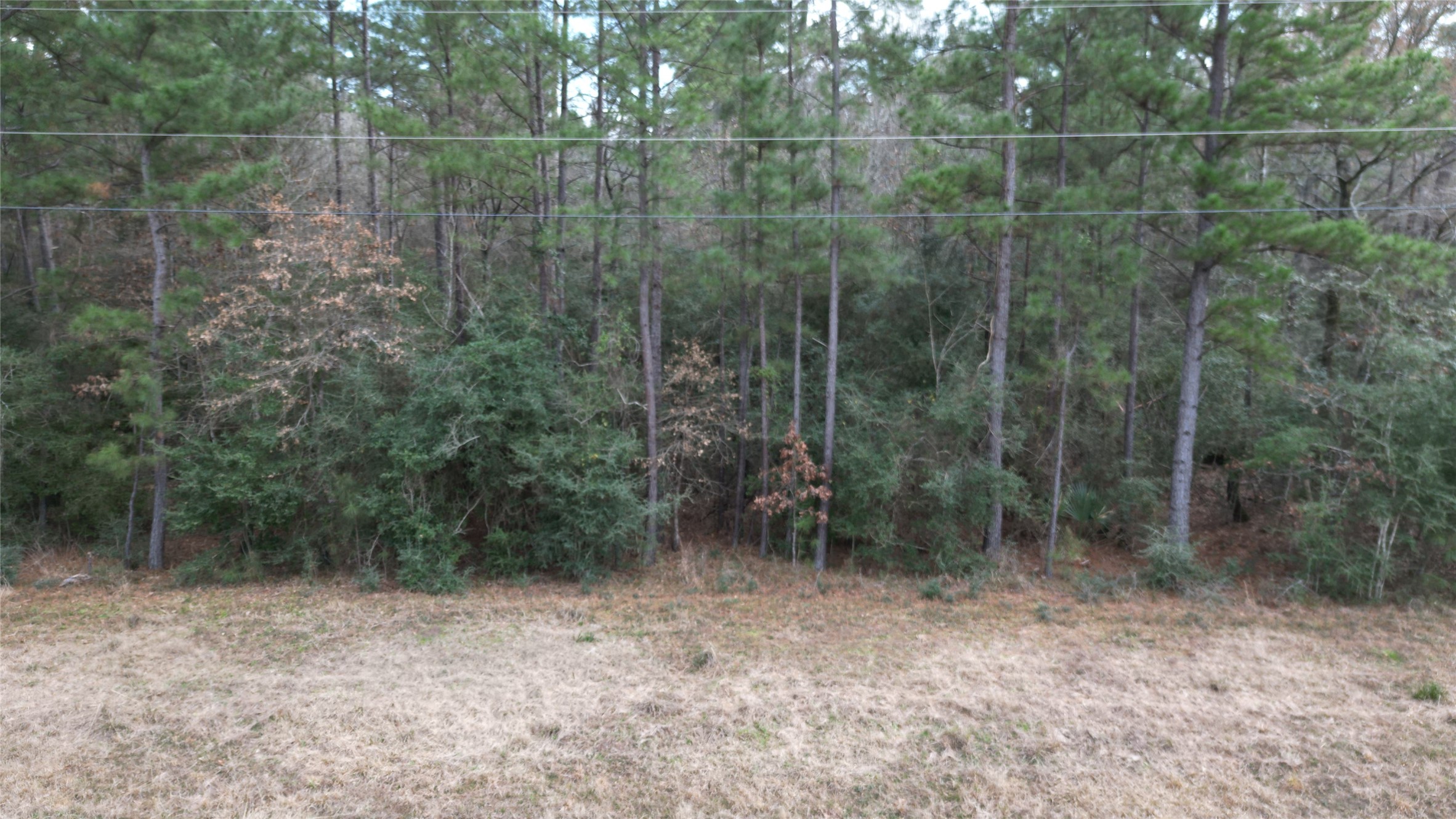 Lot 10 Winchester Road Property Photo 17
