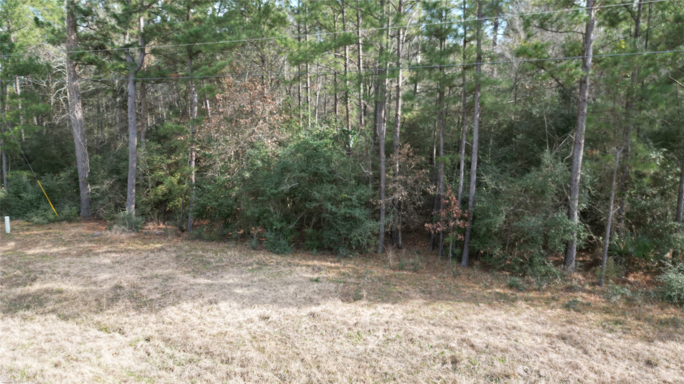 Lot 10 Winchester Road Property Photo 18