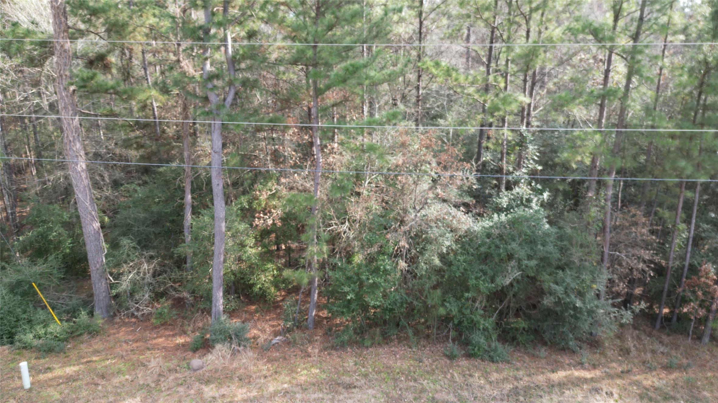 Lot 10 Winchester Road Property Photo 34