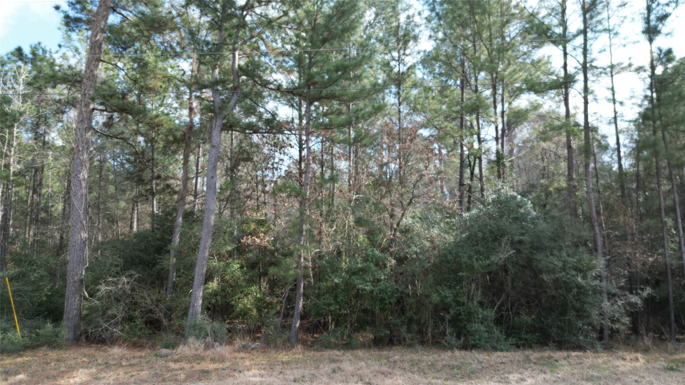Lot 10 Winchester Road Property Photo 36