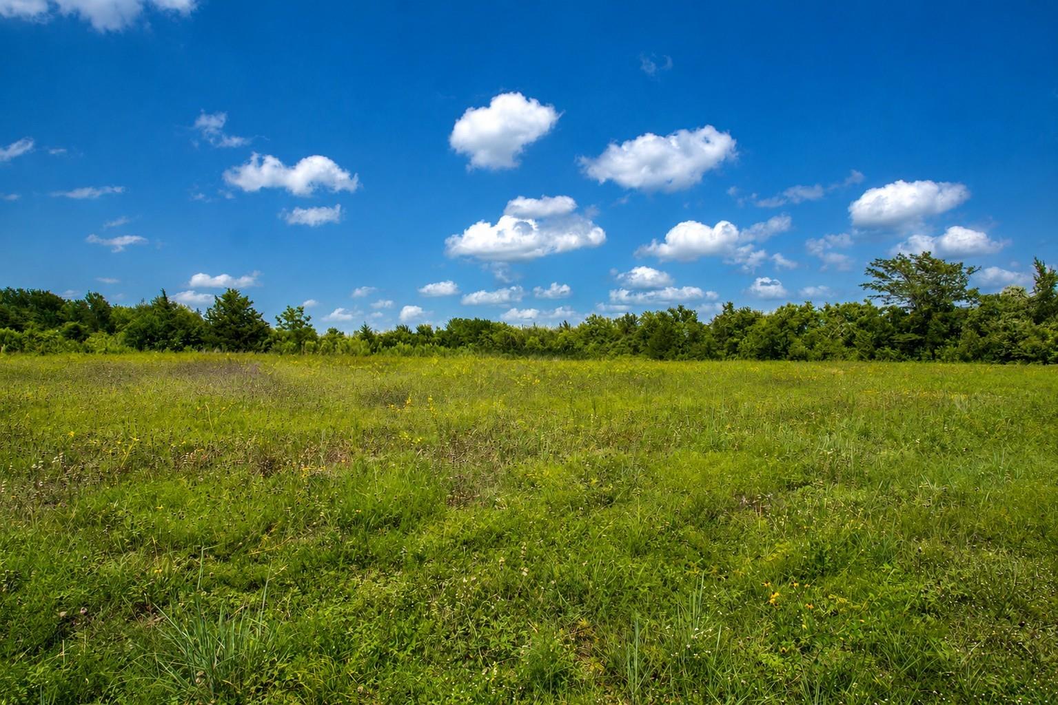 3827 Felder Road, Washington Tx 77880 Property Photo 1