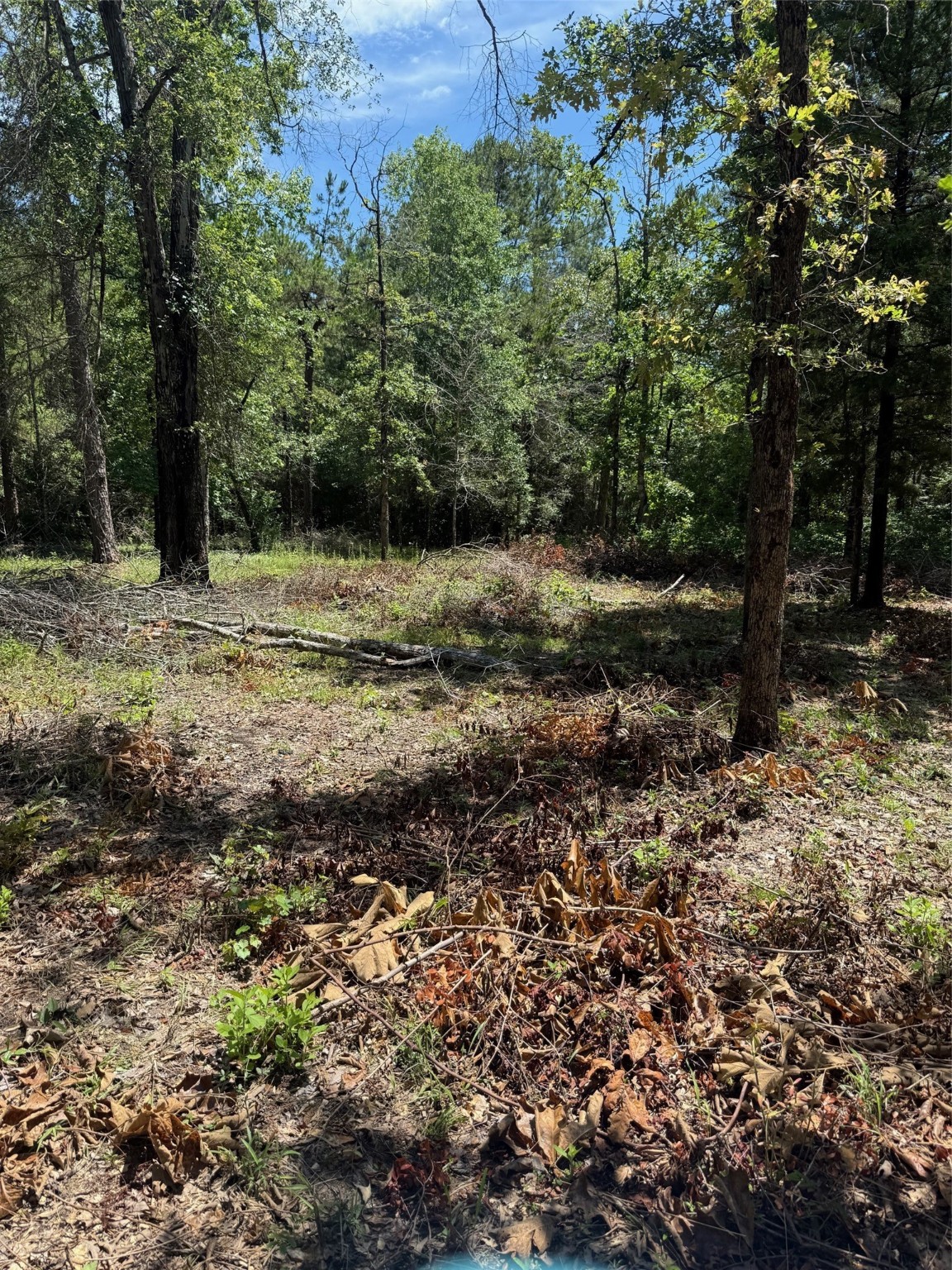 Tbd Camelot Drive Property Photo
