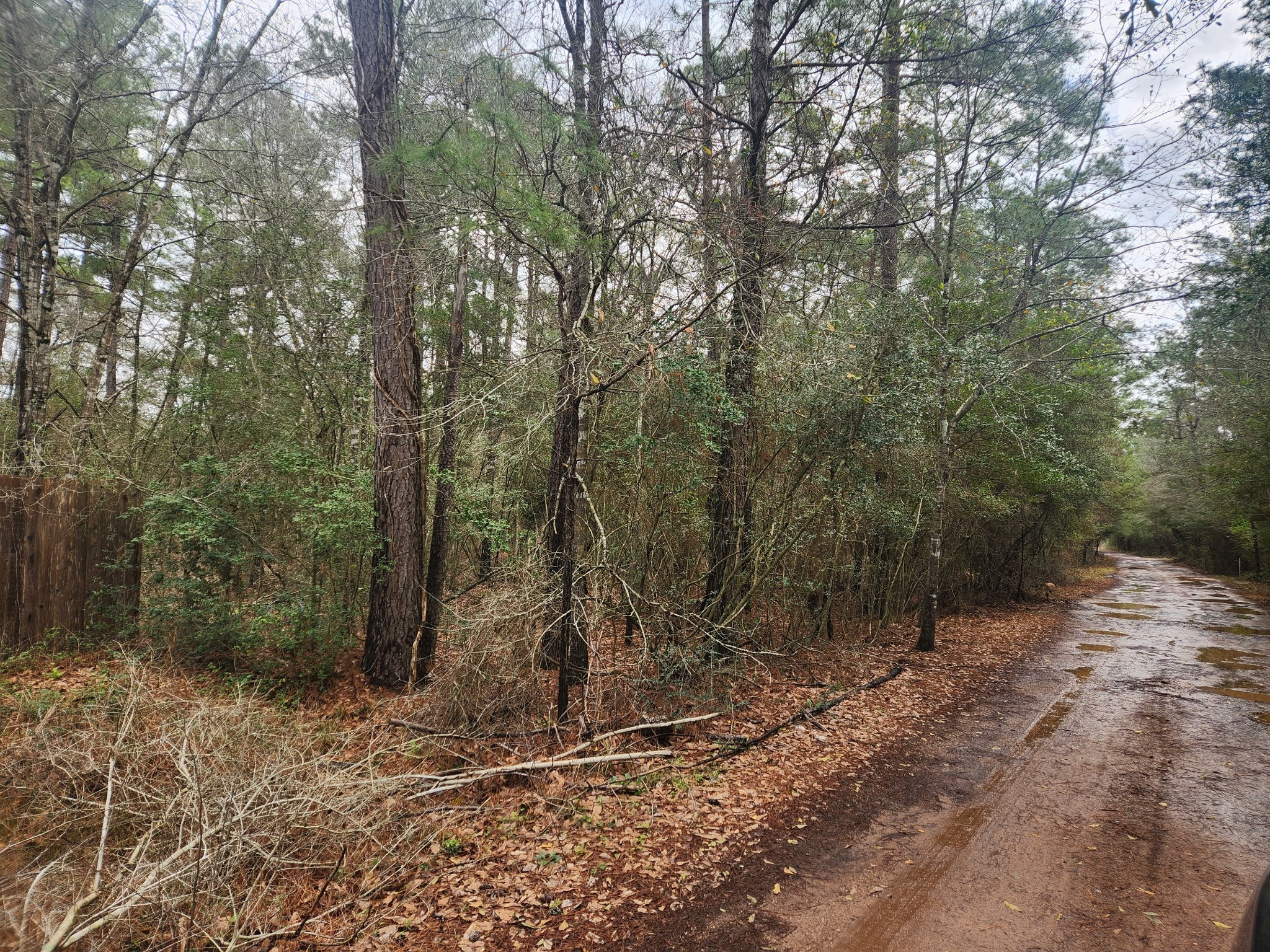 Lot 28 Sycamore Lane Property Photo 1