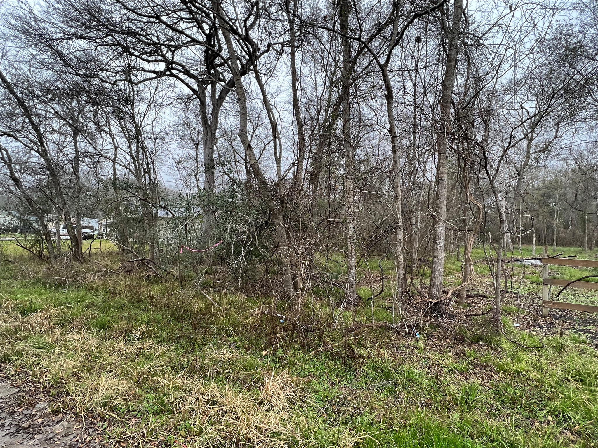 0 Lost Forest Drive Property Photo 1