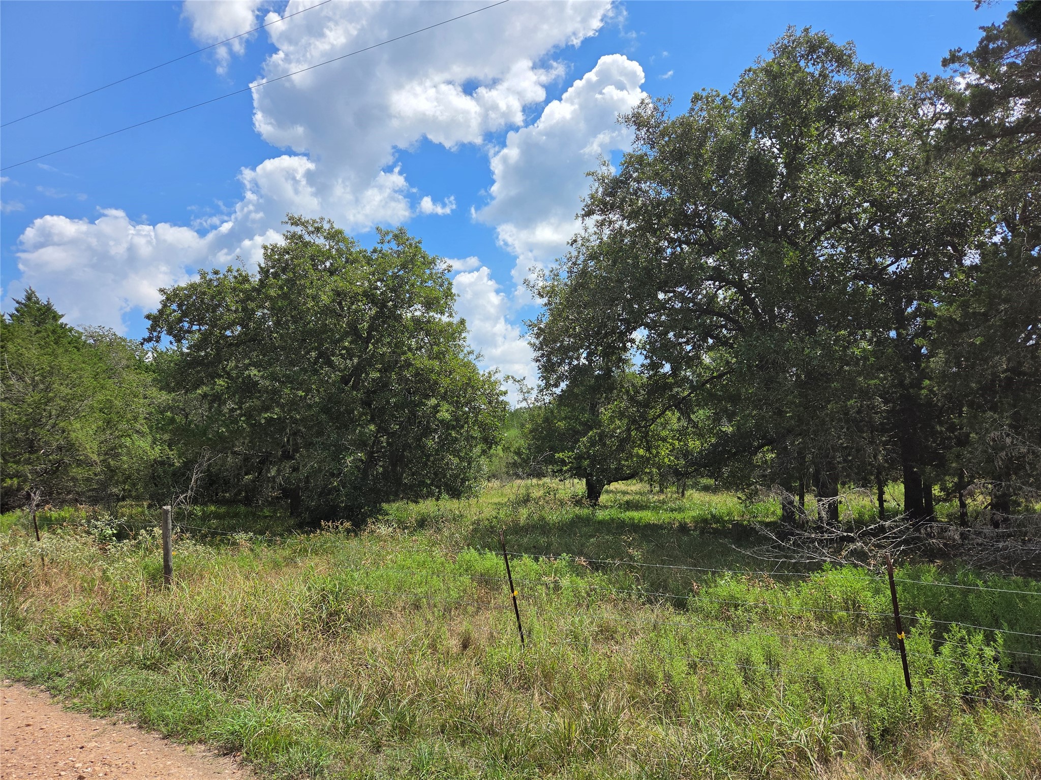 Tbd Lot A Blue Bird Lane Property Photo 1