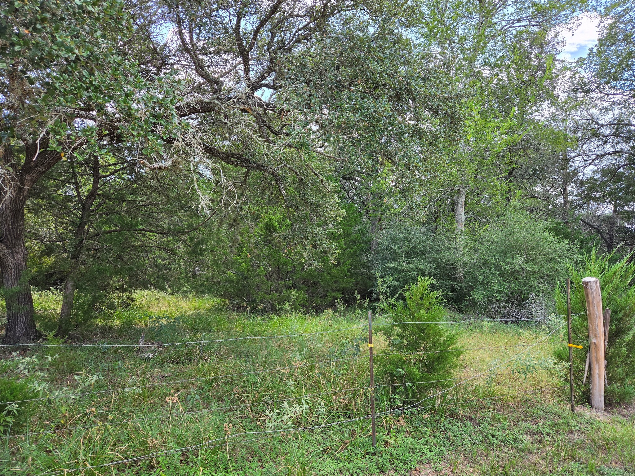 Tbd Lot A Blue Bird Lane Property Photo 2