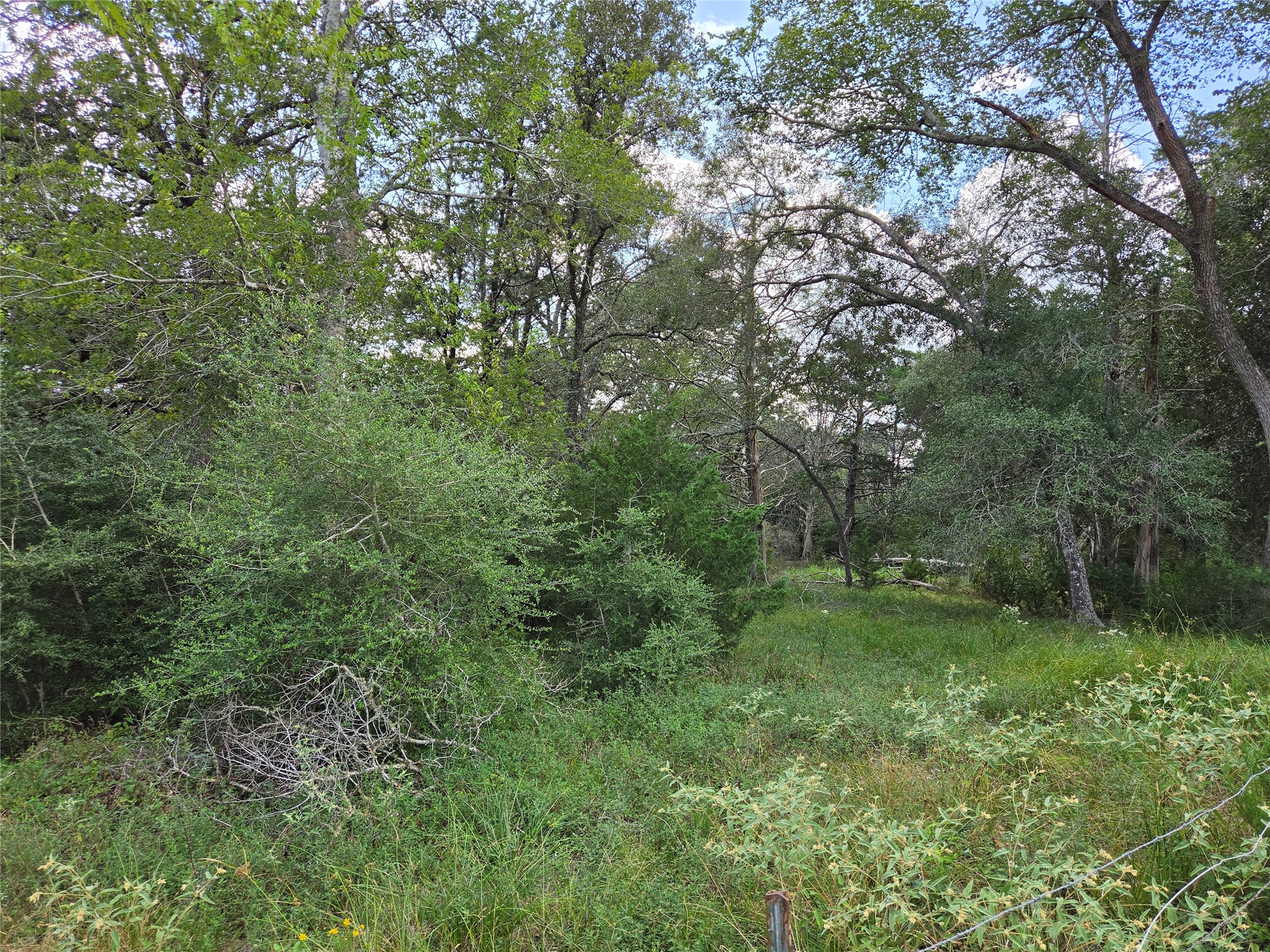 Tbd Lot A Blue Bird Lane Property Photo 3