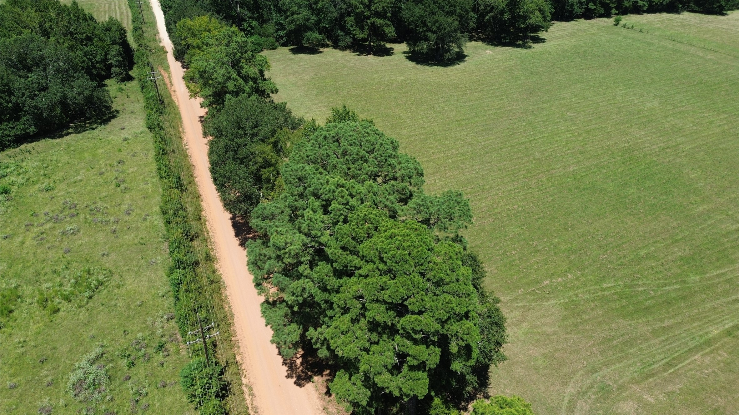 1684 County Road 1050 Property Photo 3