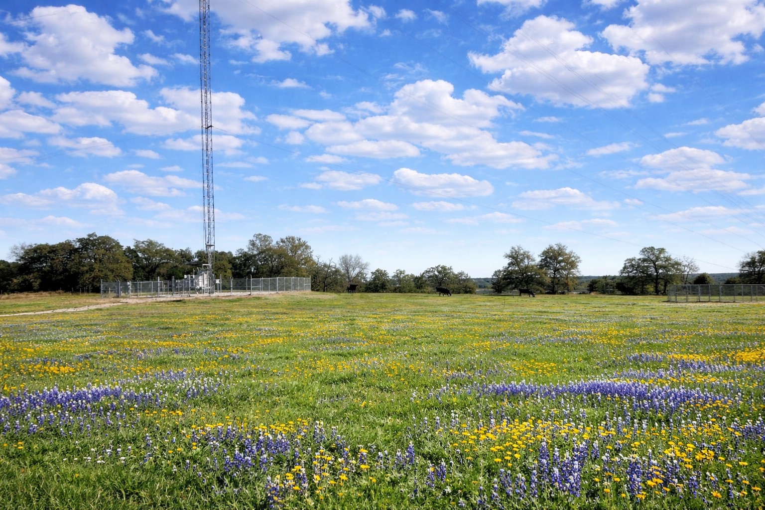 12811 E Us Highway 79 Property Photo 4