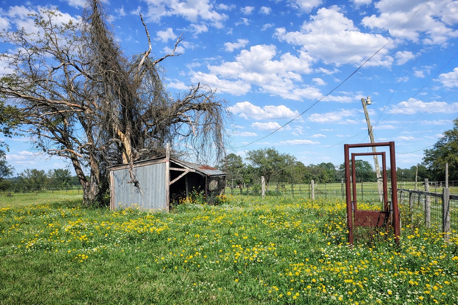 12811 E Us Highway 79 Property Photo 5