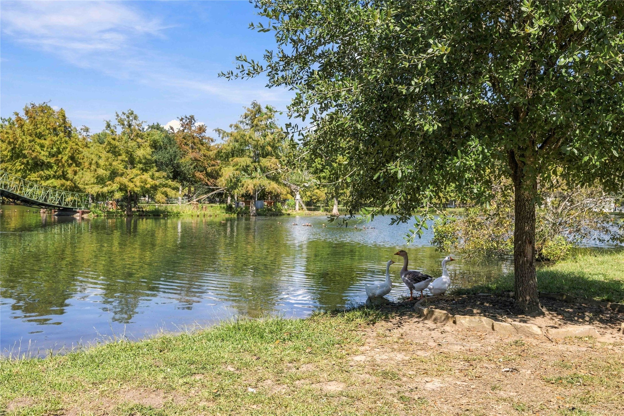 22731 Ford Road Property Photo 6