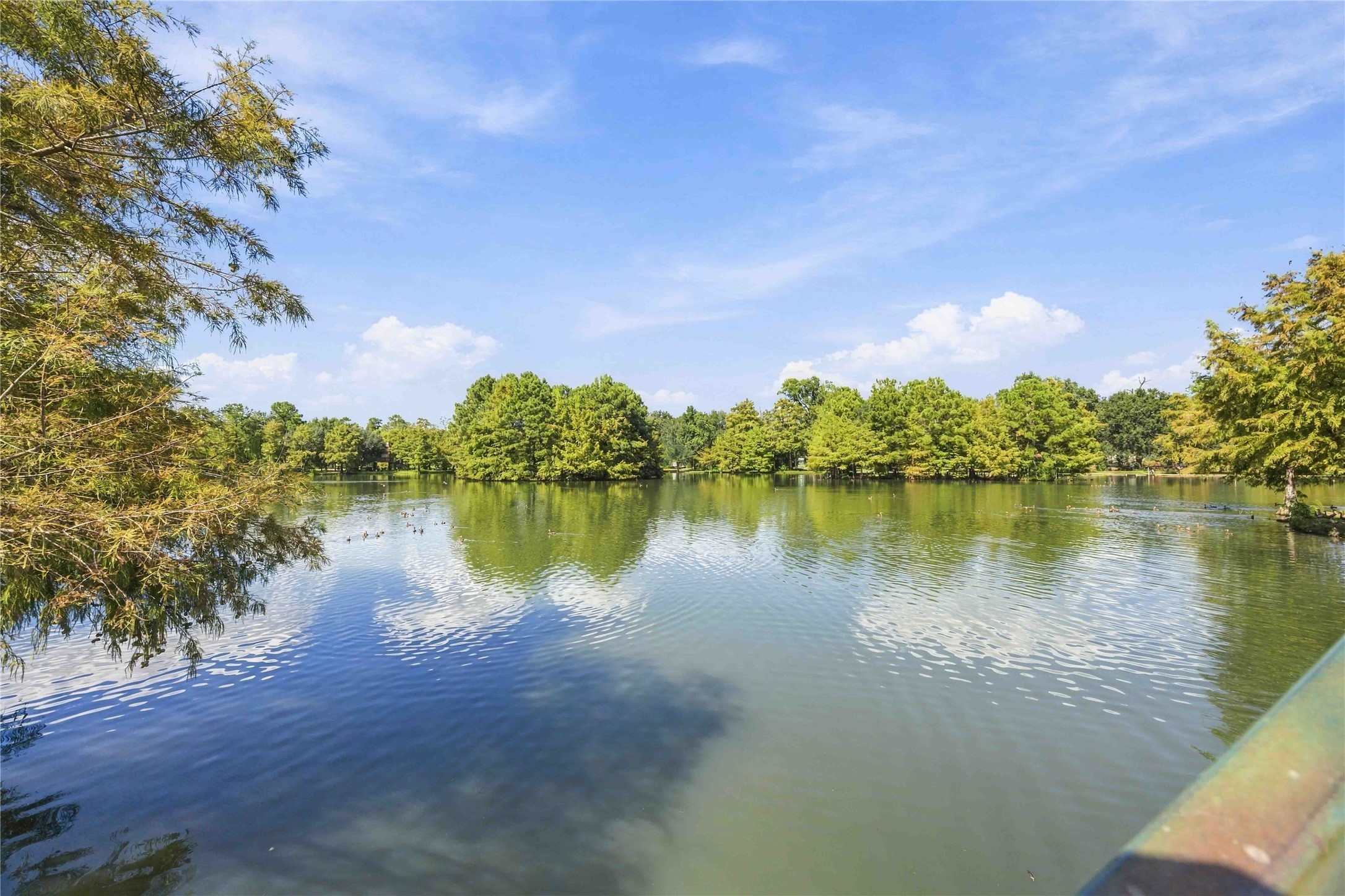 22731 Ford Road Property Photo 11