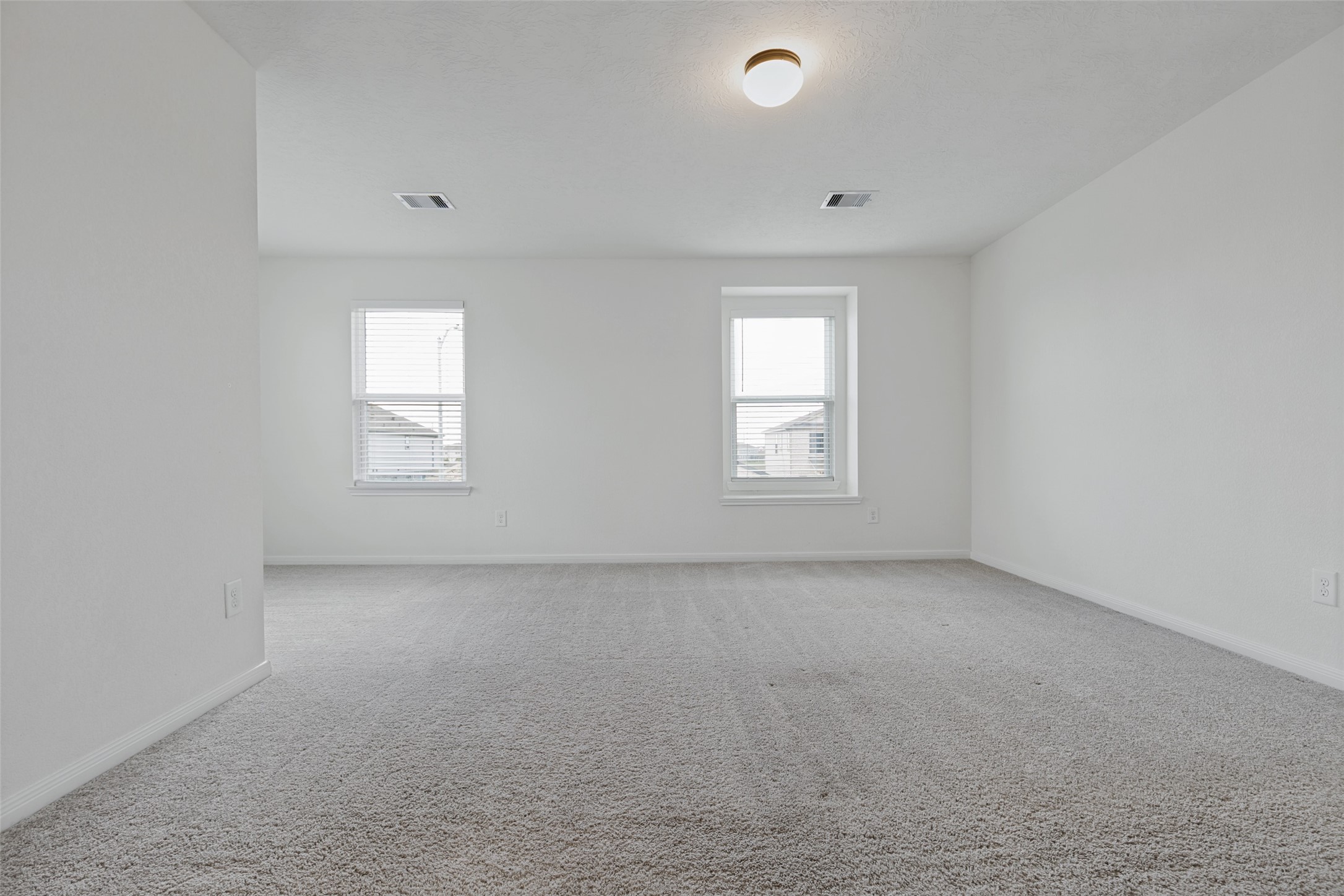 25334 Trinity Oakley Court Property Photo 16