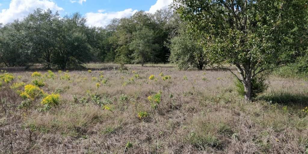 1700 Jackson Road Property Photo 1