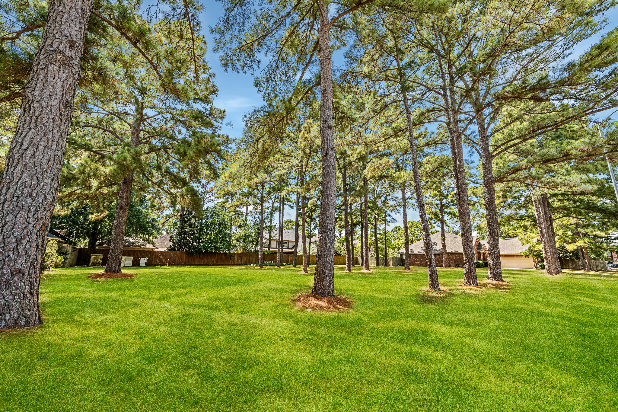 18314 Timber Strand Drive Property Photo 48