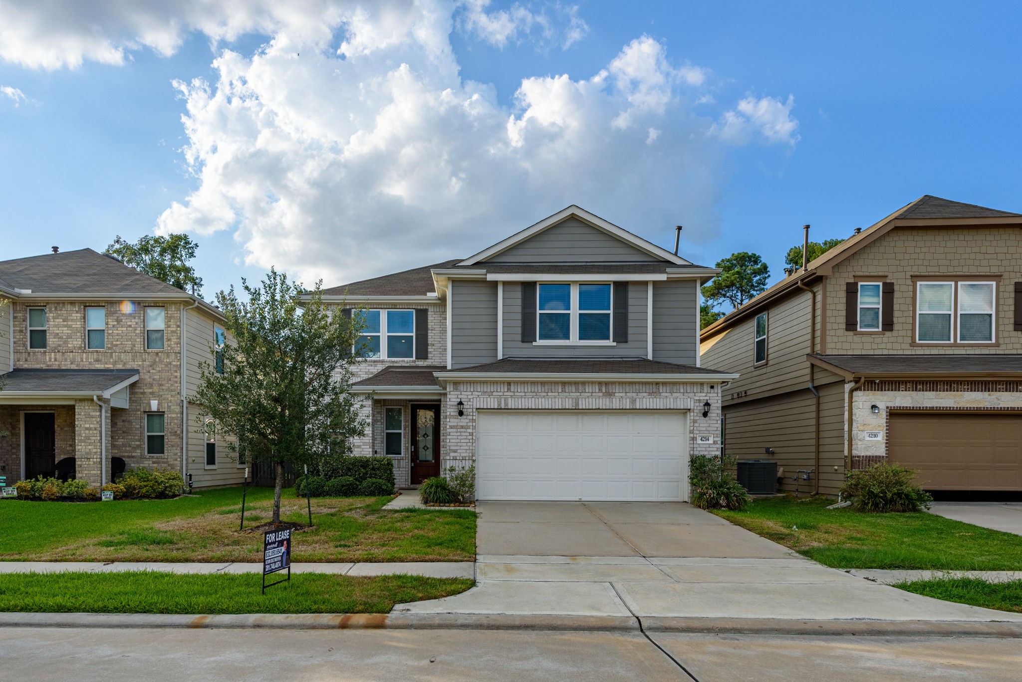 4214 Shady Palmetto Drive Property Photo 3
