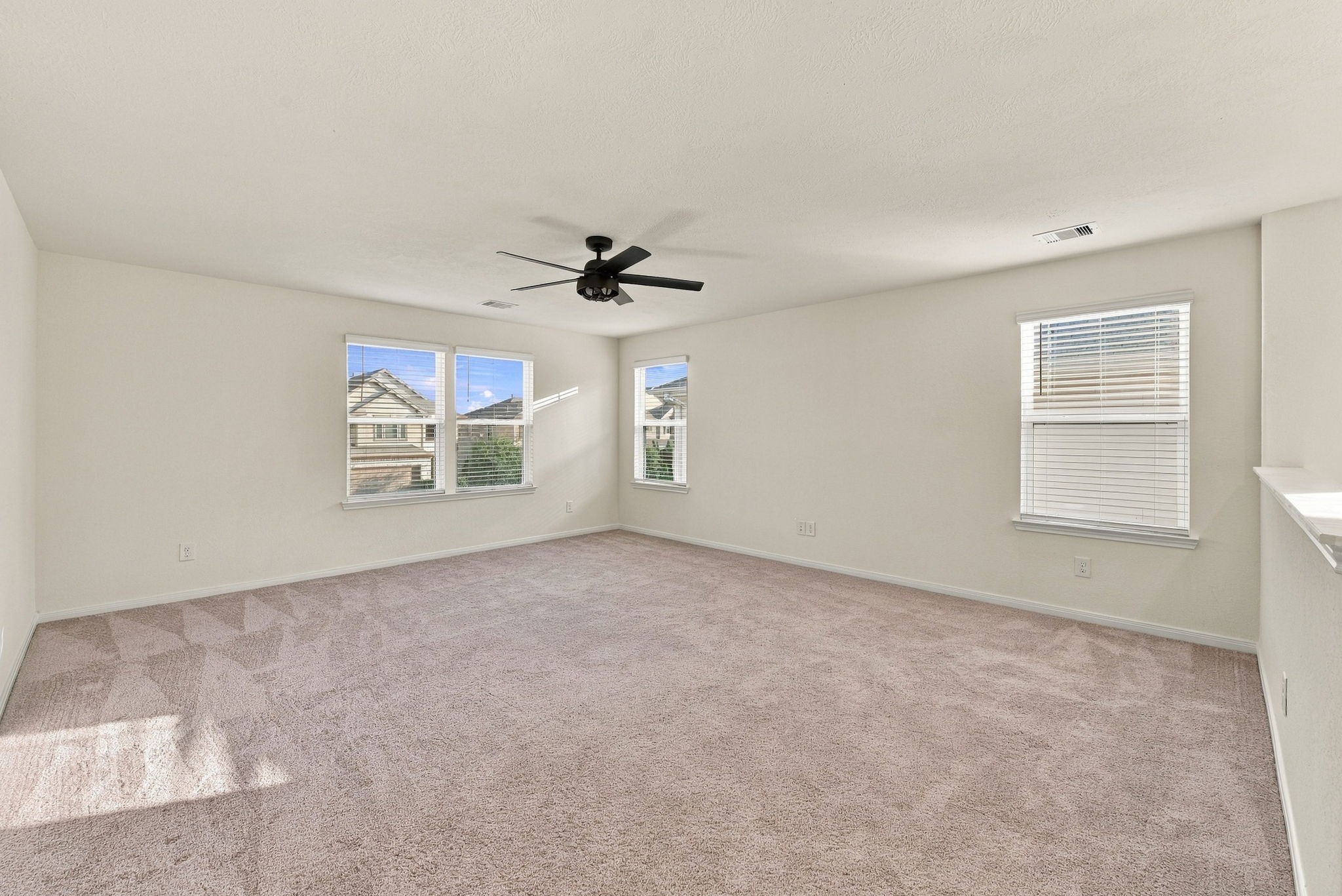 4214 Shady Palmetto Drive Property Photo 16